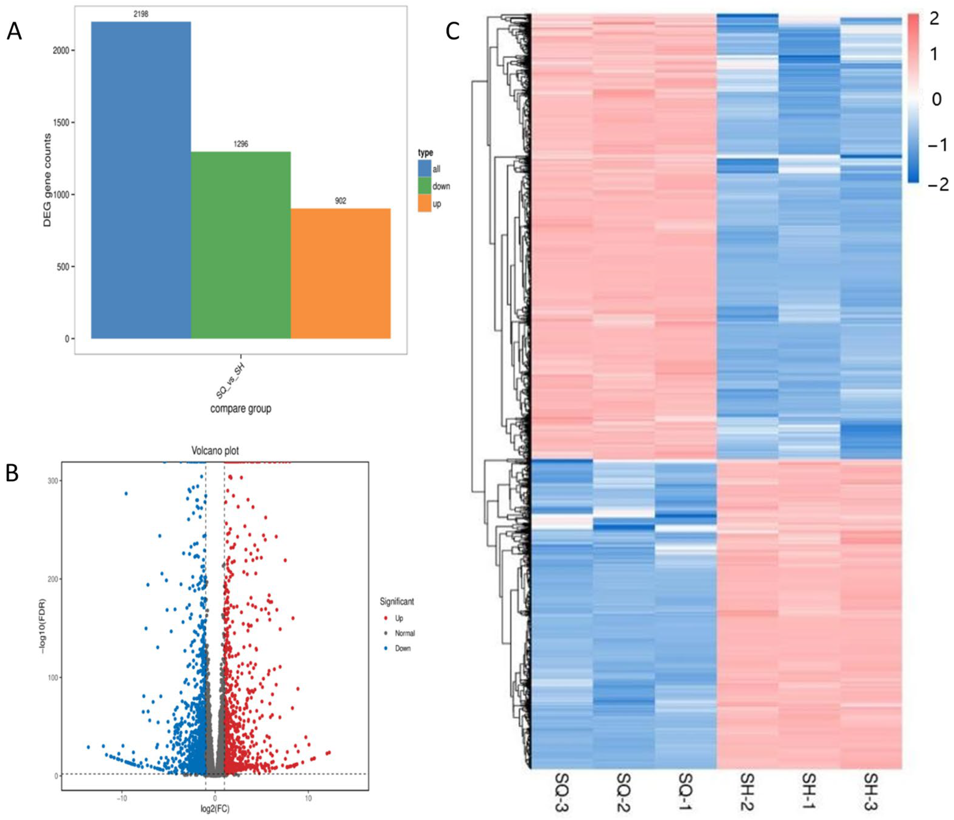 Screening of Low-Tumorigenic MDCK Cells for Potential Influenza Vaccine ...