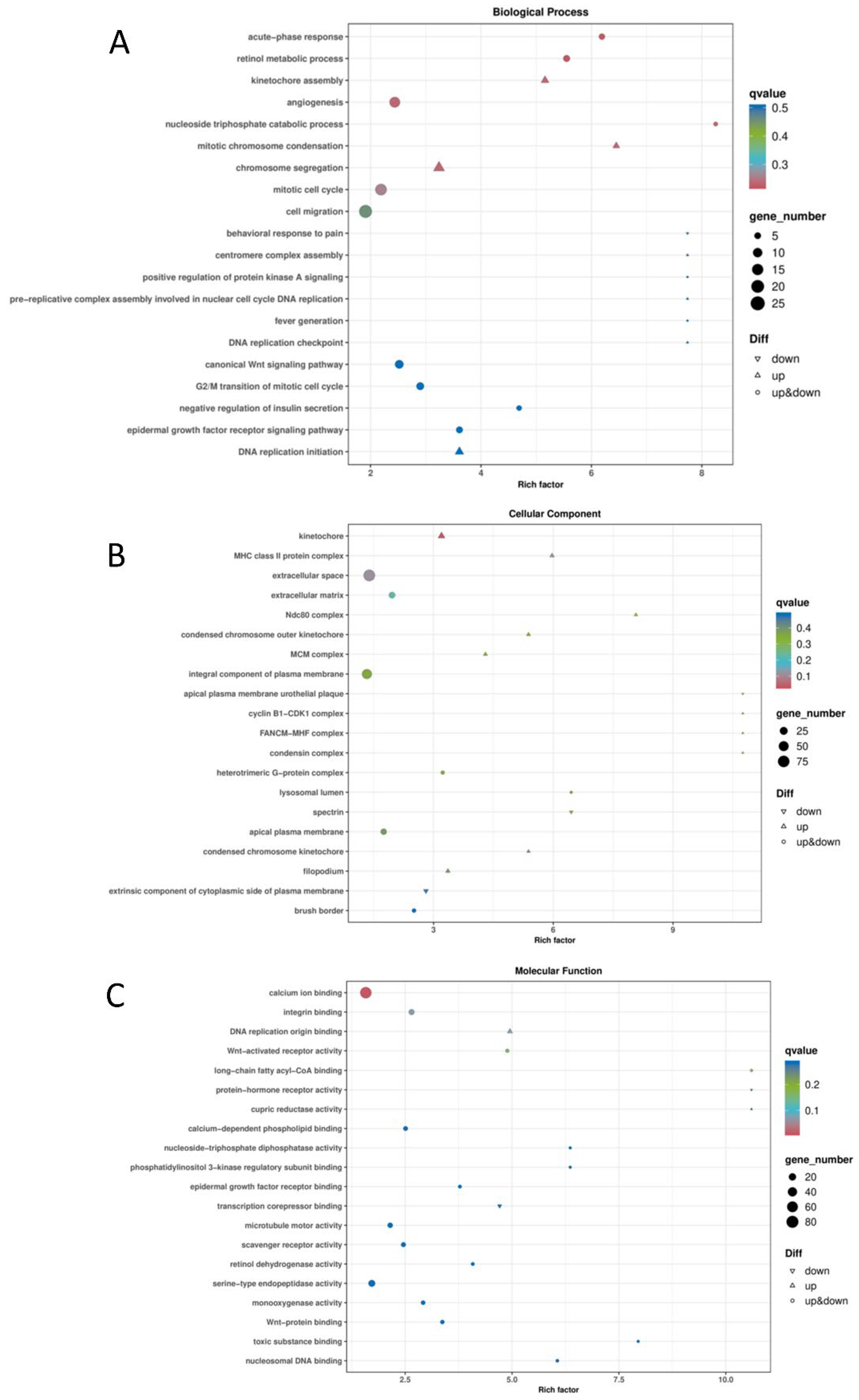 Screening of Low-Tumorigenic MDCK Cells for Potential Influenza Vaccine ...