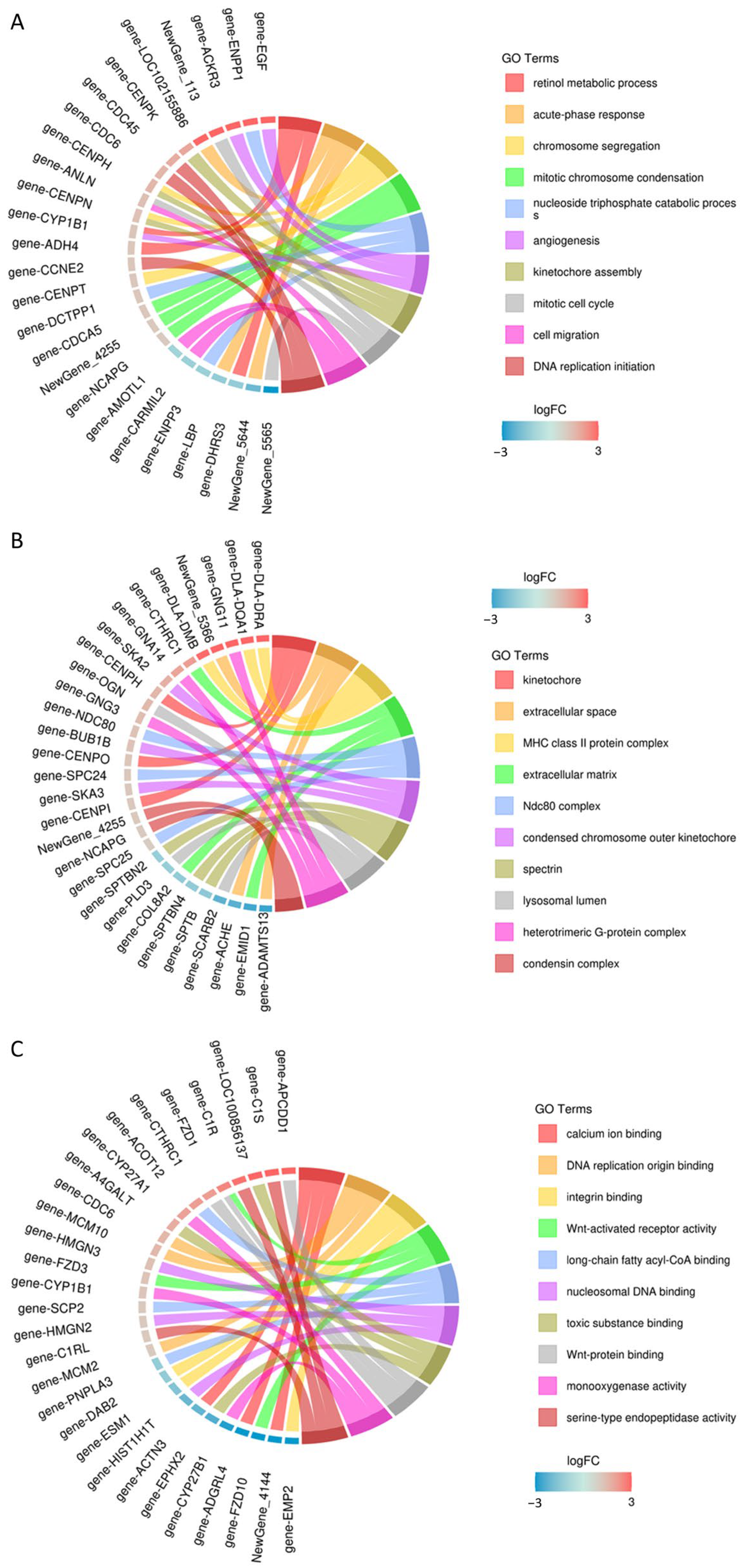 Screening of Low-Tumorigenic MDCK Cells for Potential Influenza Vaccine ...
