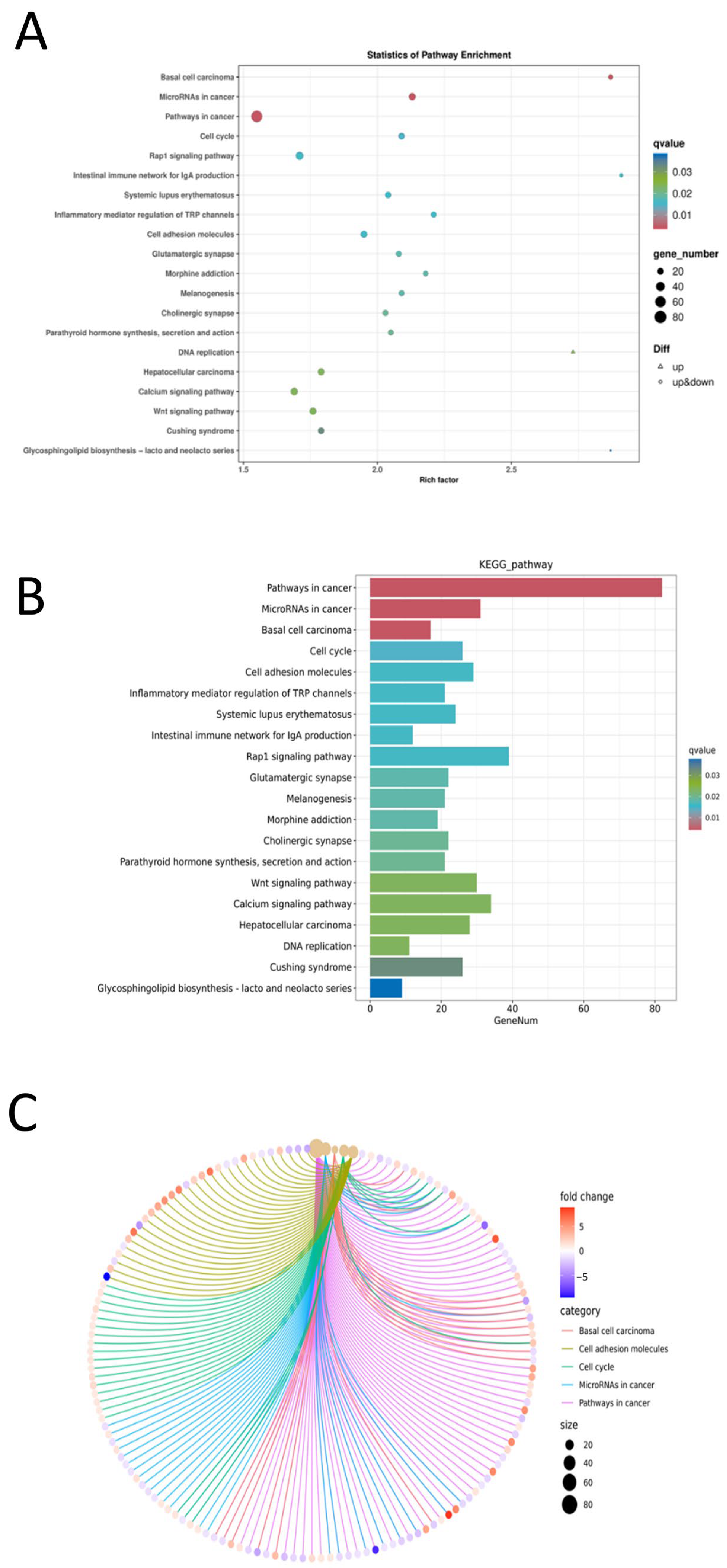 Screening of Low-Tumorigenic MDCK Cells for Potential Influenza Vaccine ...