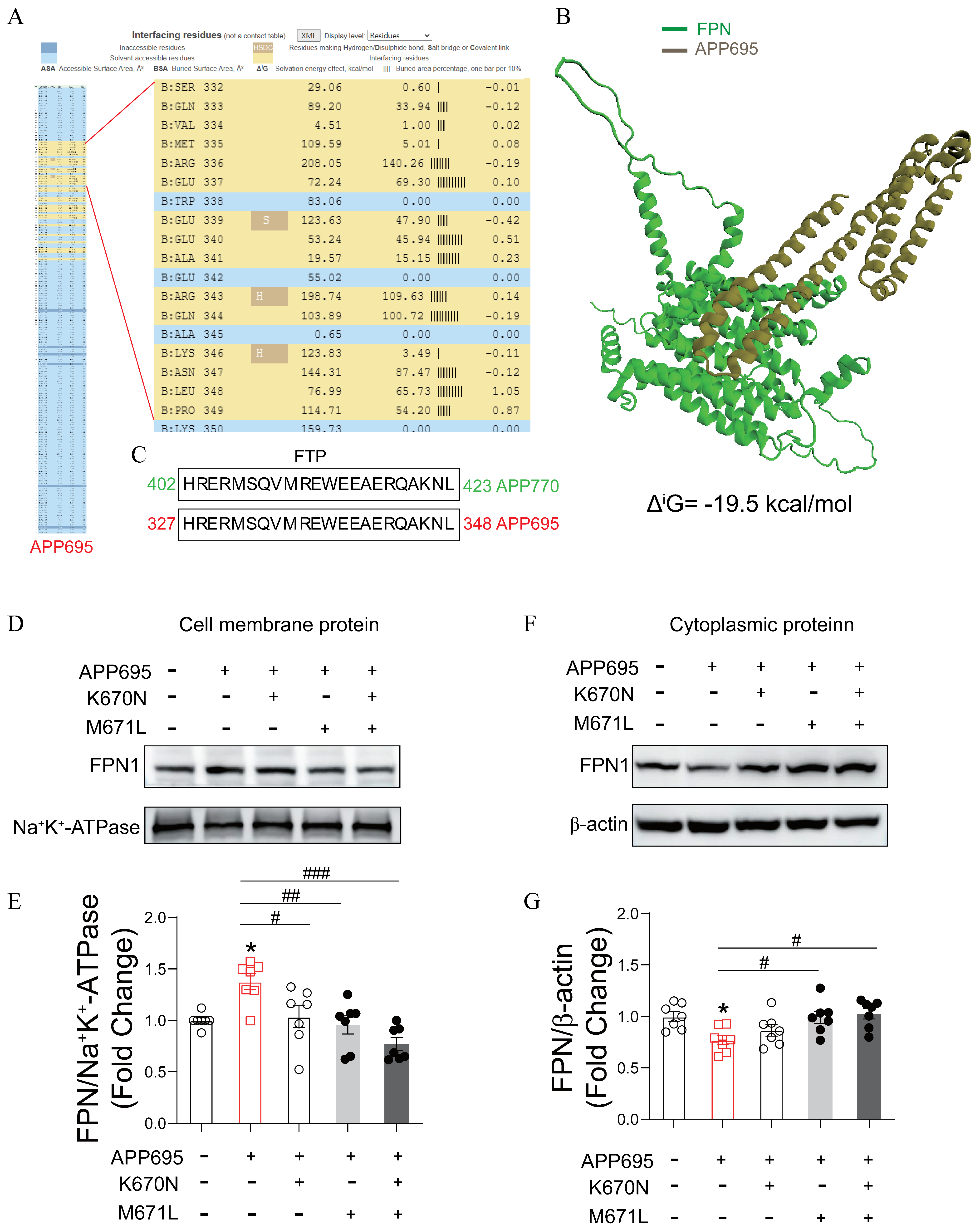 Amyloid Precursor Protein Abnormalities Destabilize Membrane ...