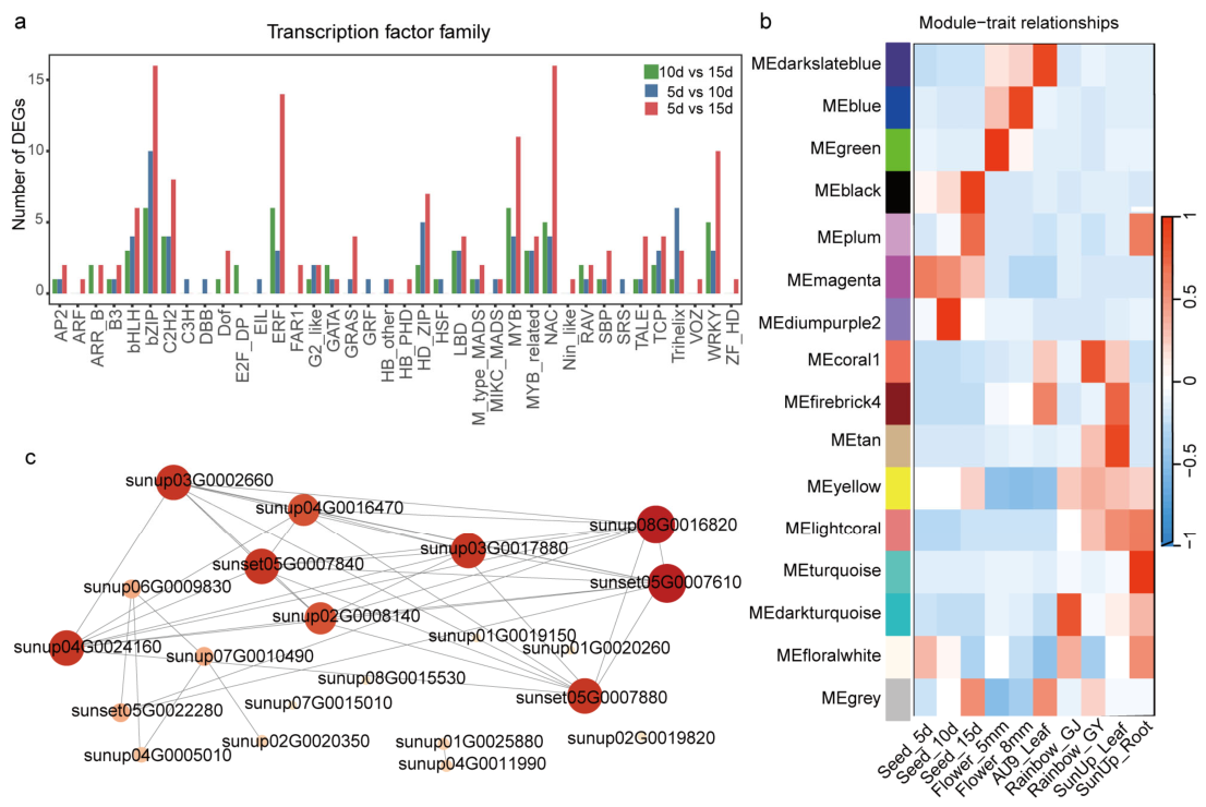 Cellular Heterogeneity and Developmental Dynamics of Aril in Papaya
