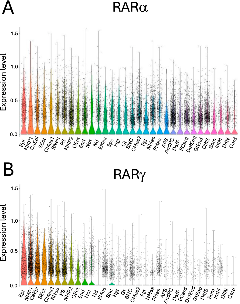 Retinoic Acid Receptor γ Activity Plays a Critical Role in Regulating ...