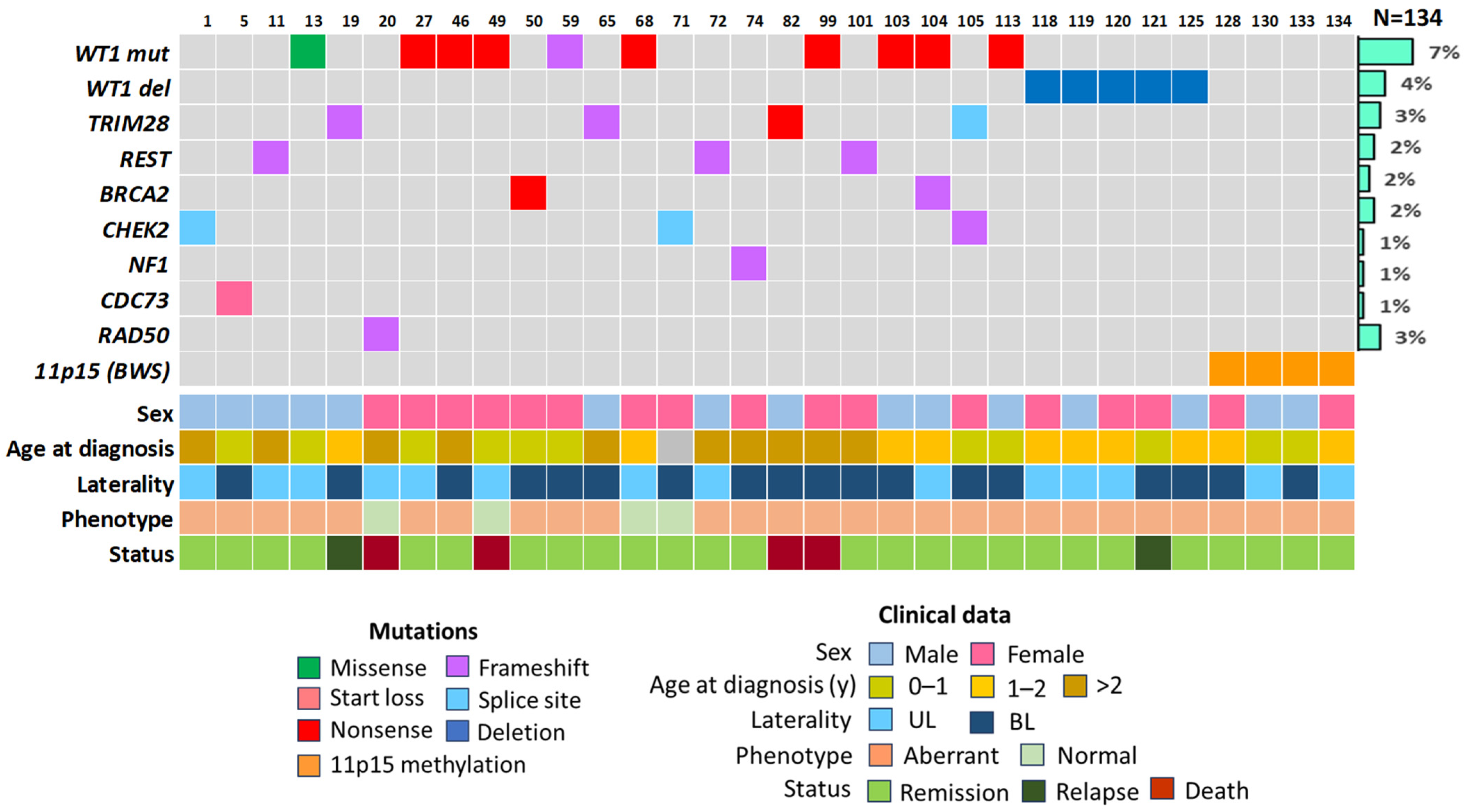 Genetic and Epigenetic Drivers of Wilms Tumor Predisposition in Russian ...