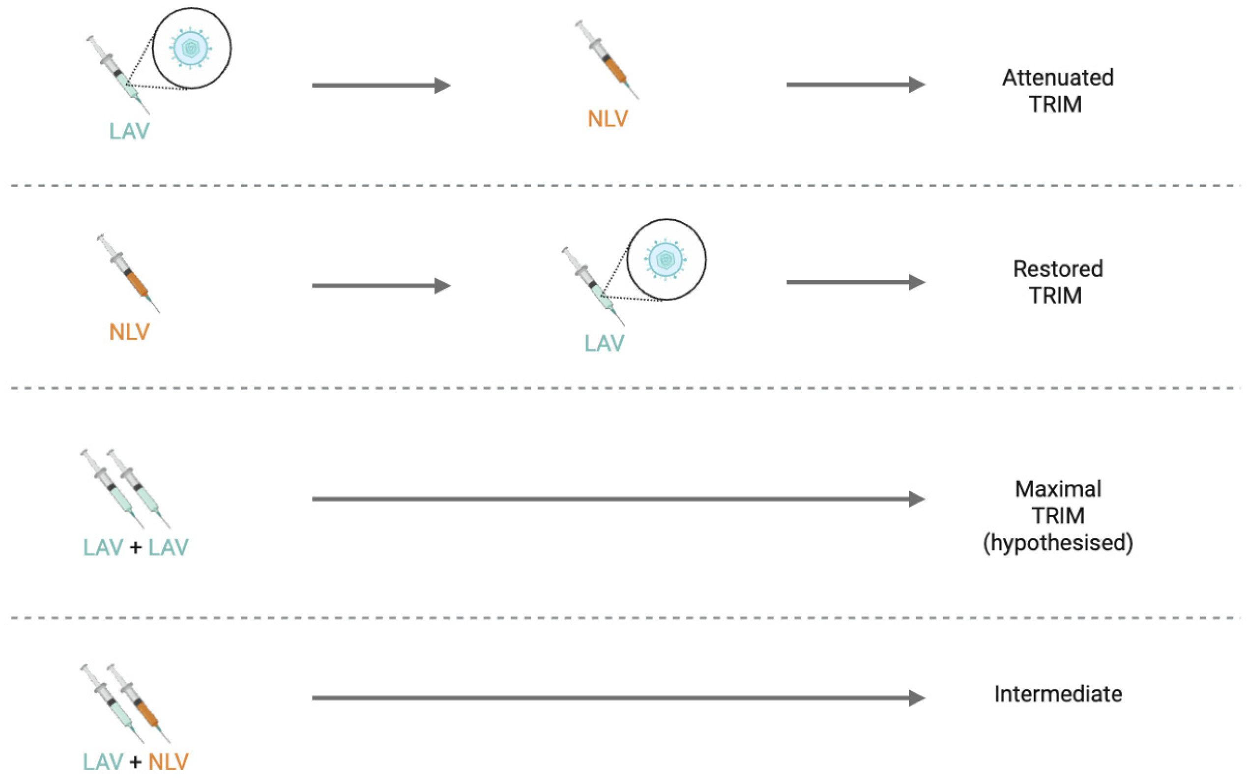 Trained Immunity Induced by Vaccines: A Shifting Paradigm for Infant ...