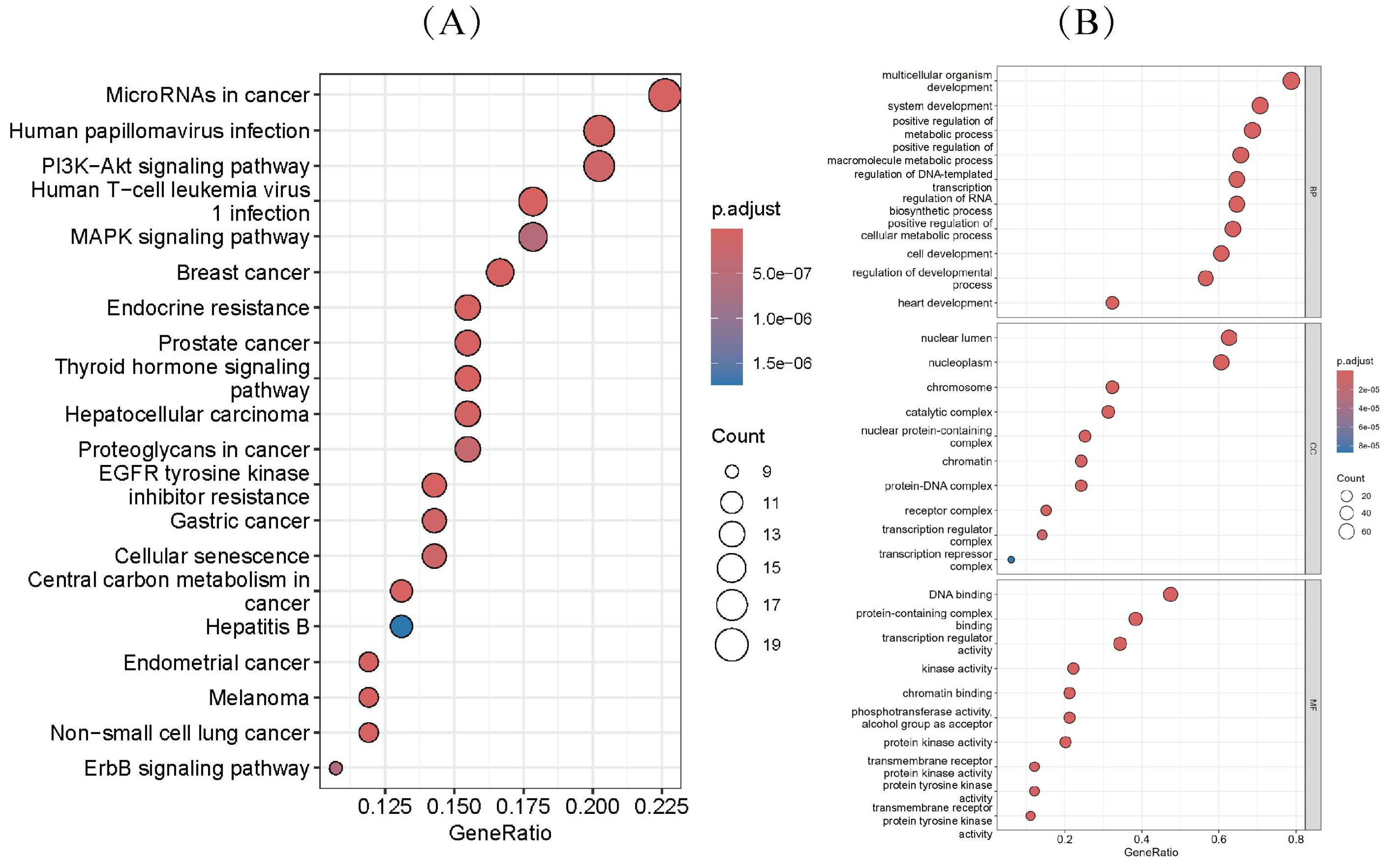 TGBWDriver: A Cancer Driver Gene Identification Method Based on ...
