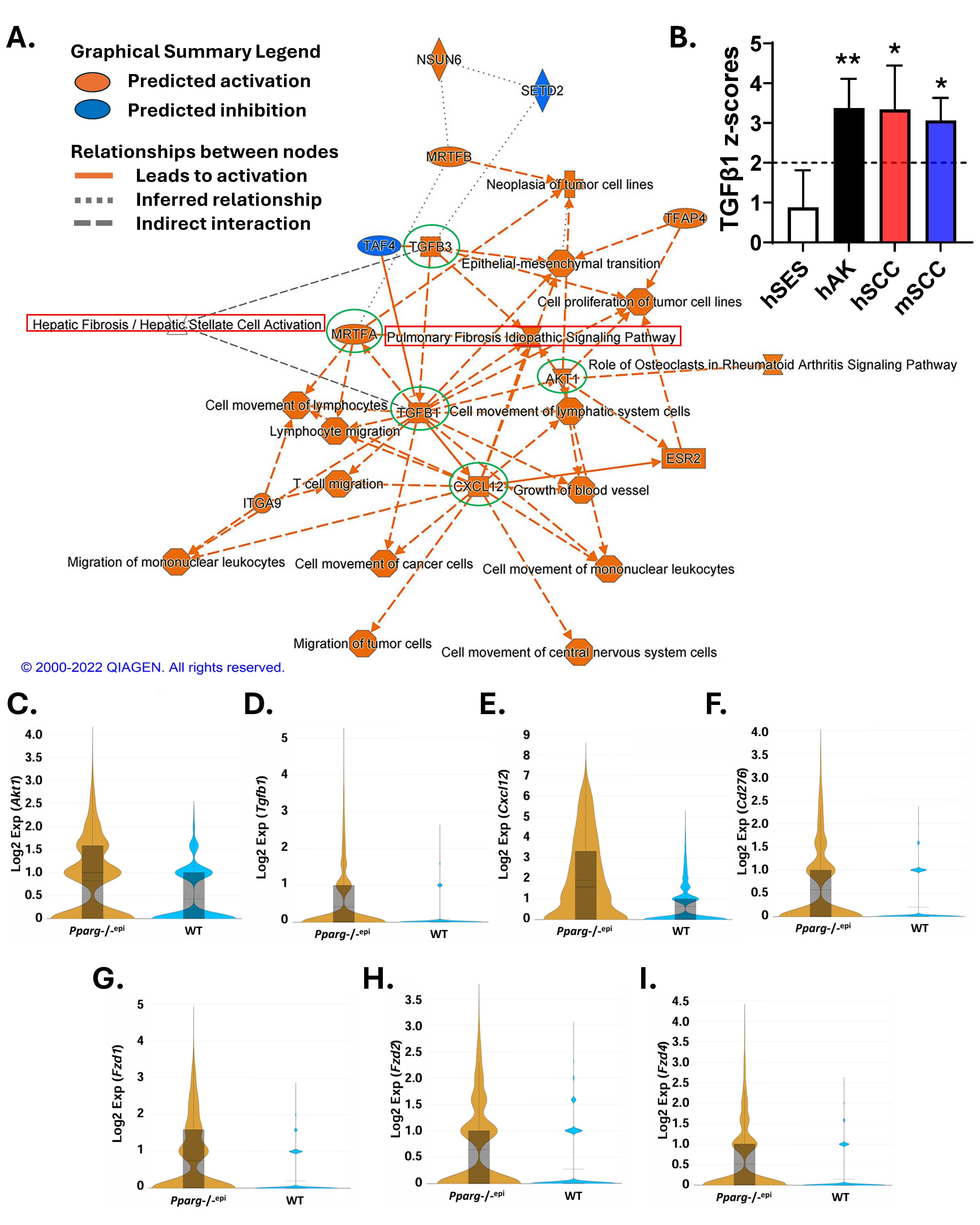 Epidermal PPARγ Signaling as a Suppressor of Toll-like Receptor ...