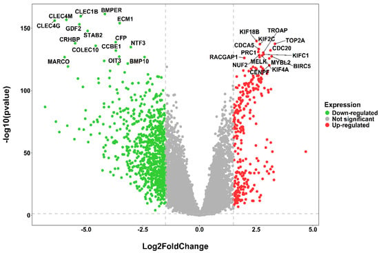 Uncovering Prognostic Biomarkers Underlying Hepatocellular Carcinoma Through Integrative Multi-Omics and a Network-Based Approach