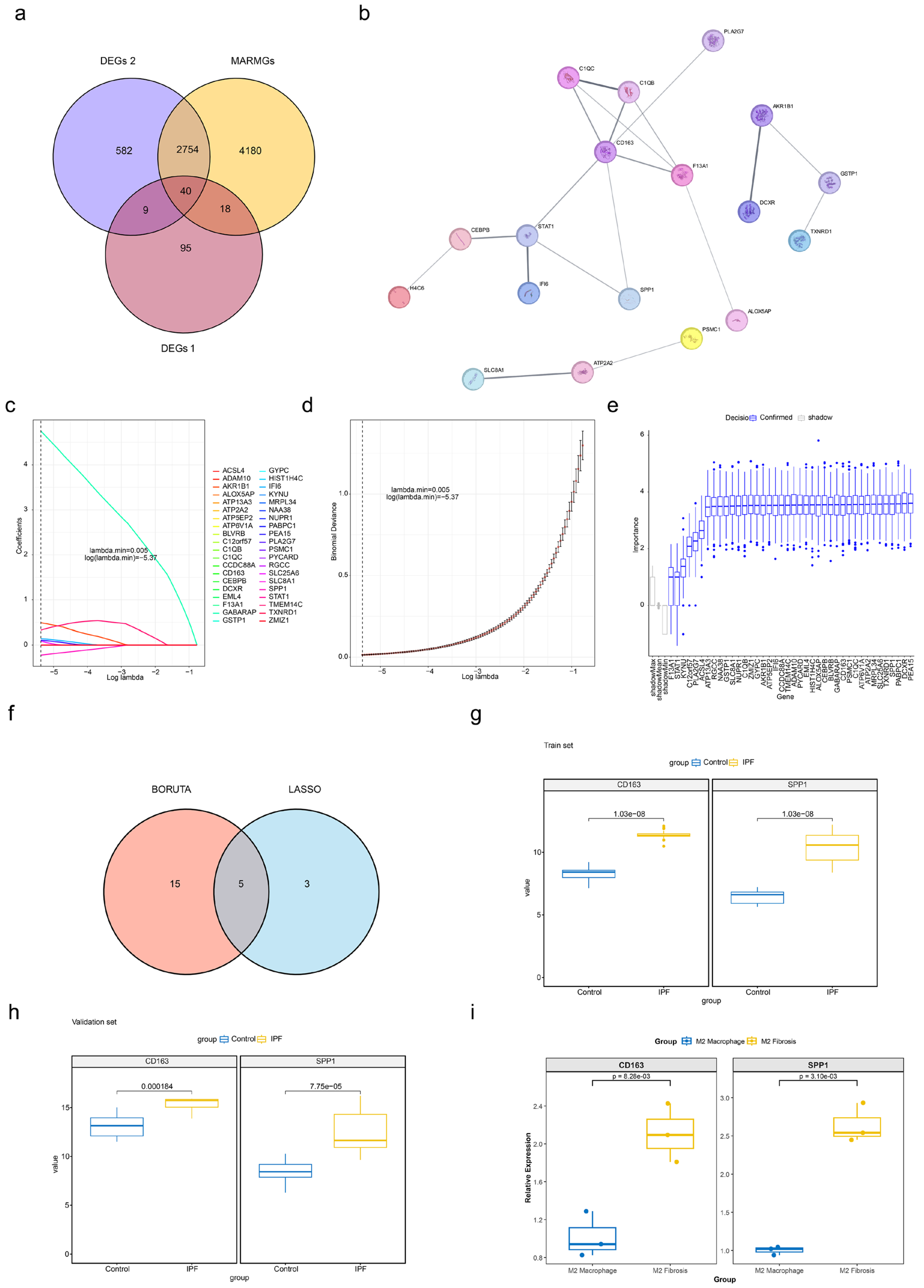 Integrated Single-Cell and Bulk RNA Sequencing Identifies Macrophage ...