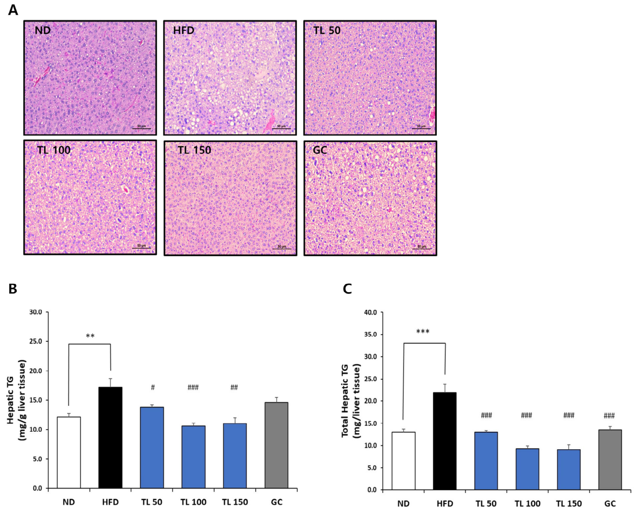 Anti-Obesity Effects of Tisochrysis lutea Powder in High-Fat Diet ...