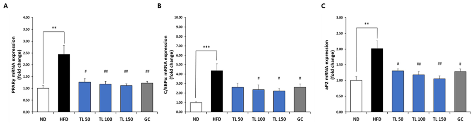 Anti-Obesity Effects of Tisochrysis lutea Powder in High-Fat Diet ...