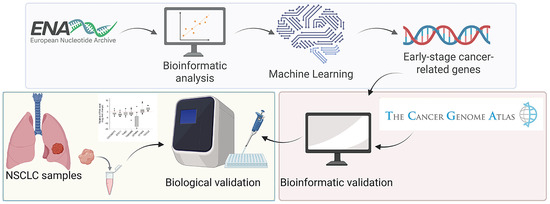 Machine Learning-Based Identification of Biomarkers for Early-Stage Non ...