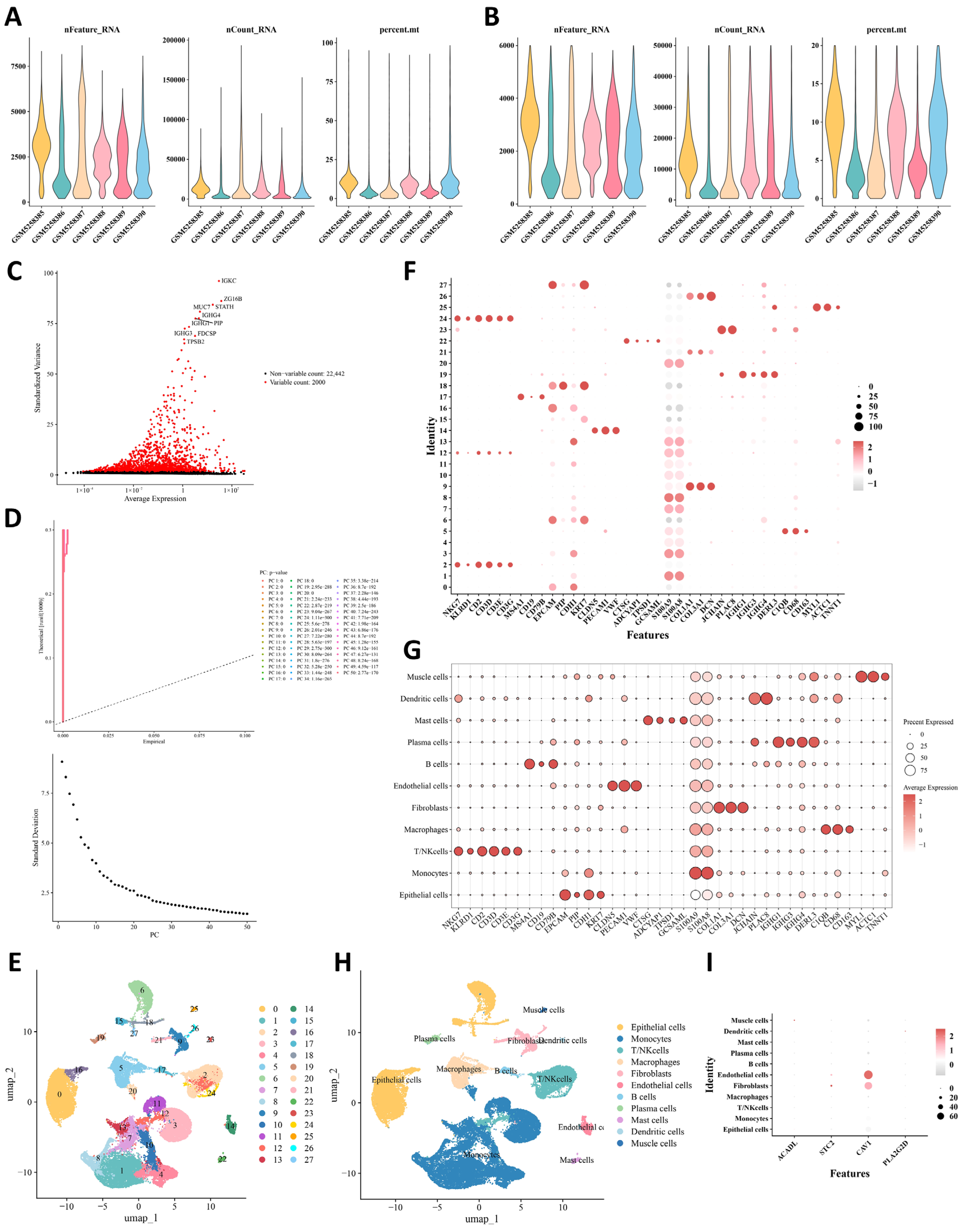 Integrative Bulk and Single-Cell Transcriptomic Analysis Identifies a ...
