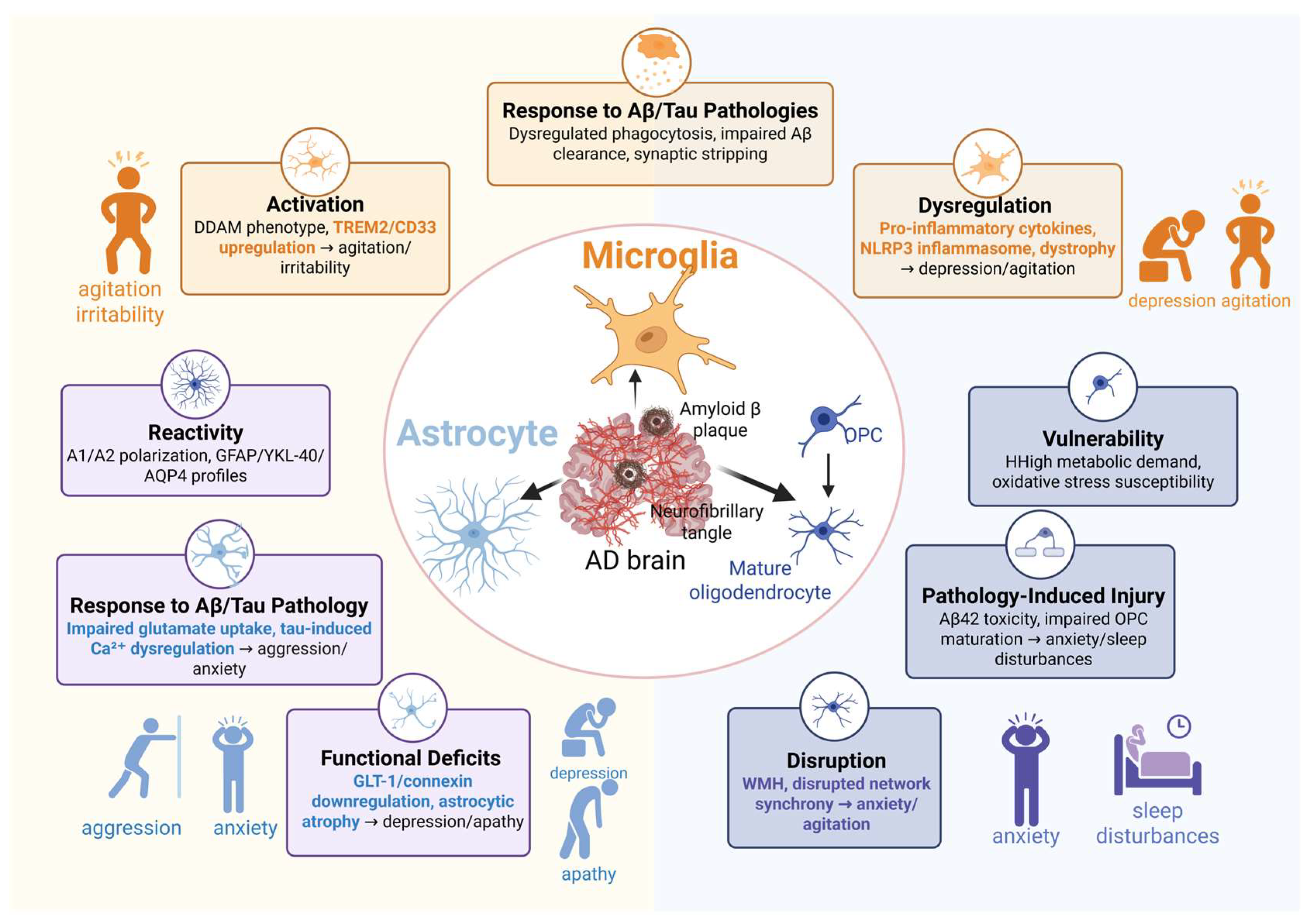 Glial Cells in Behavioral and Psychological Symptoms of Alzheimer’s Disease