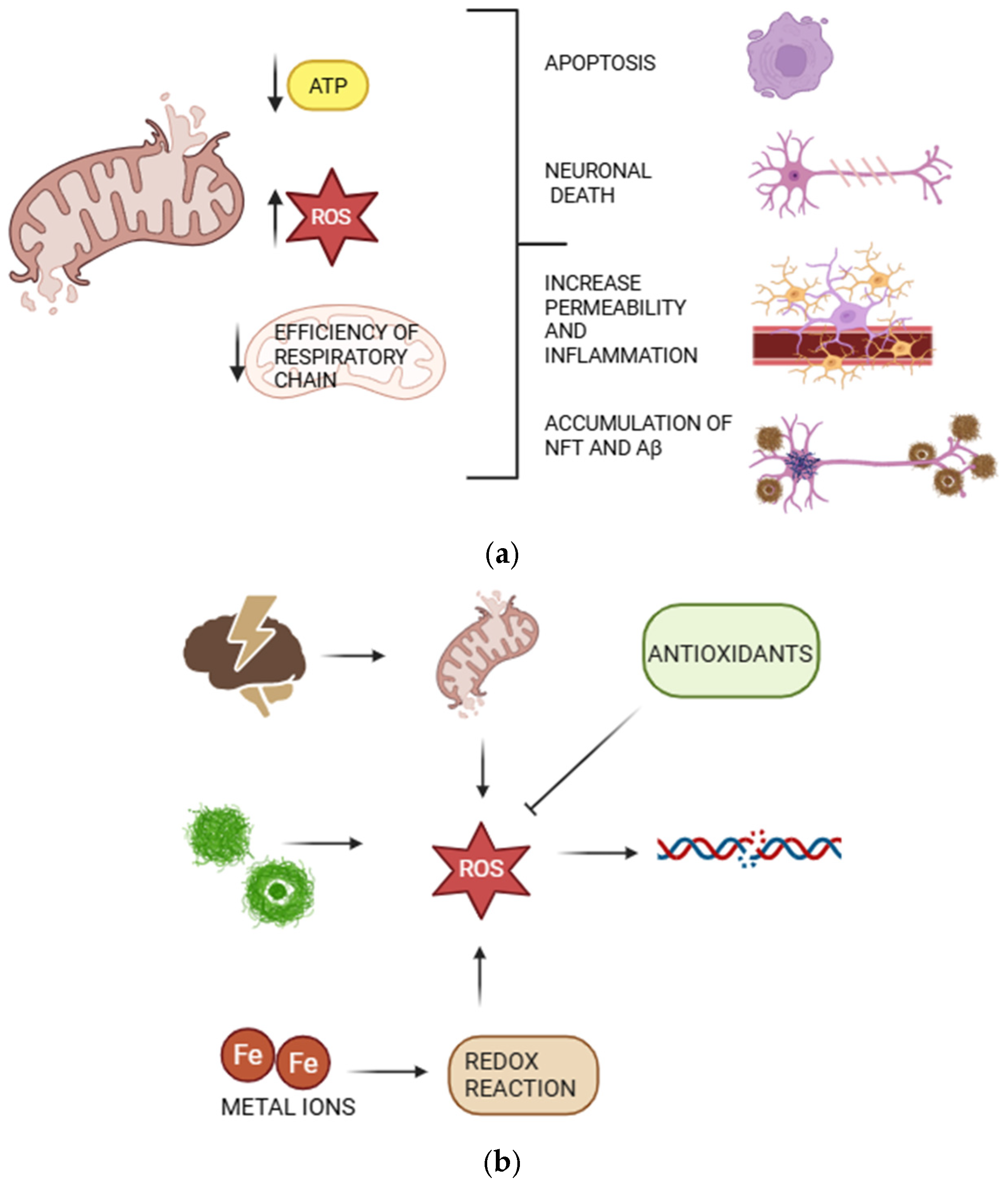 Molecular Mechanisms Underlying Alzheimer’s Disease Pathogenesis ...