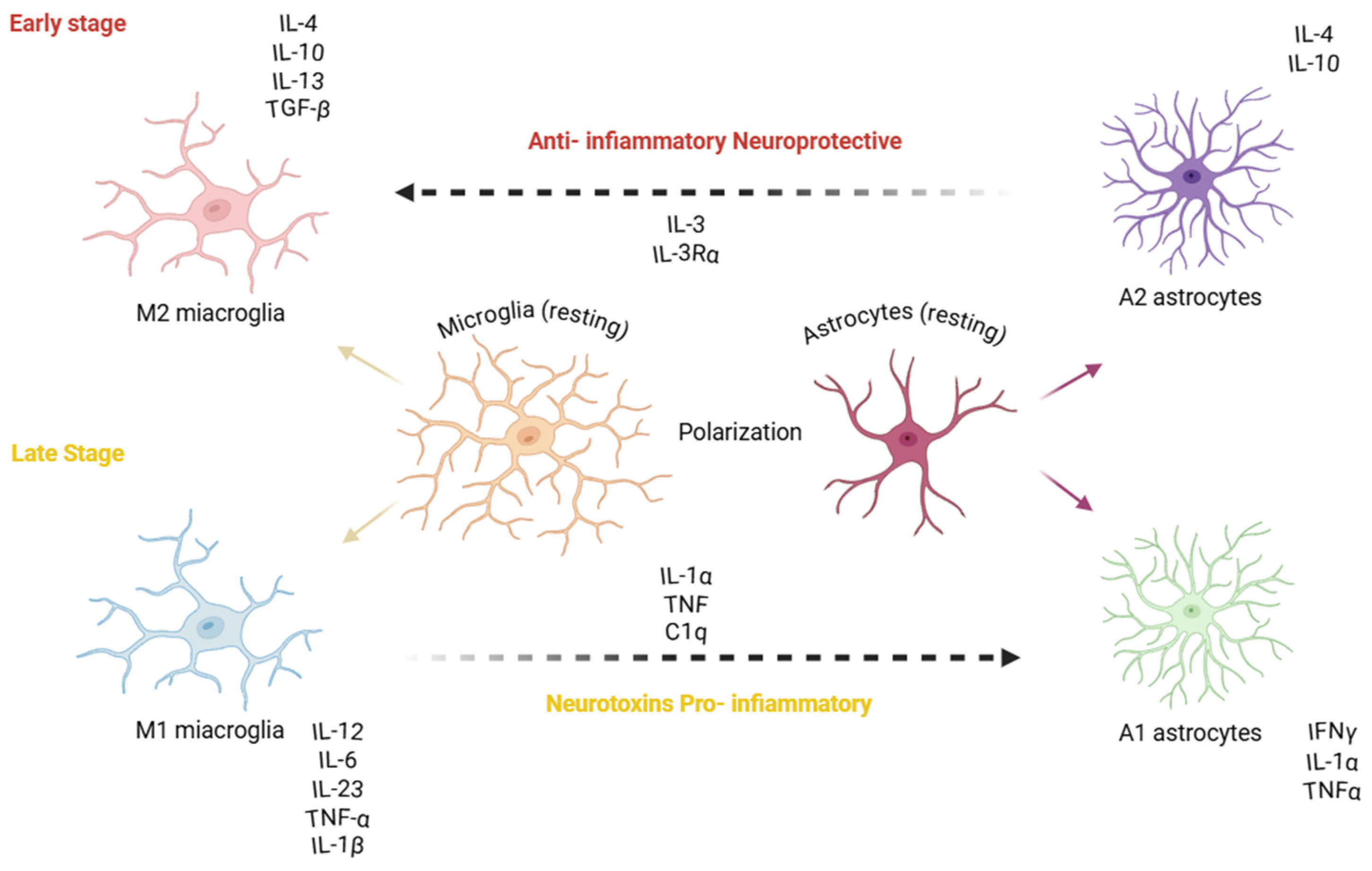 Molecular Mechanisms Underlying Alzheimer’s Disease Pathogenesis ...
