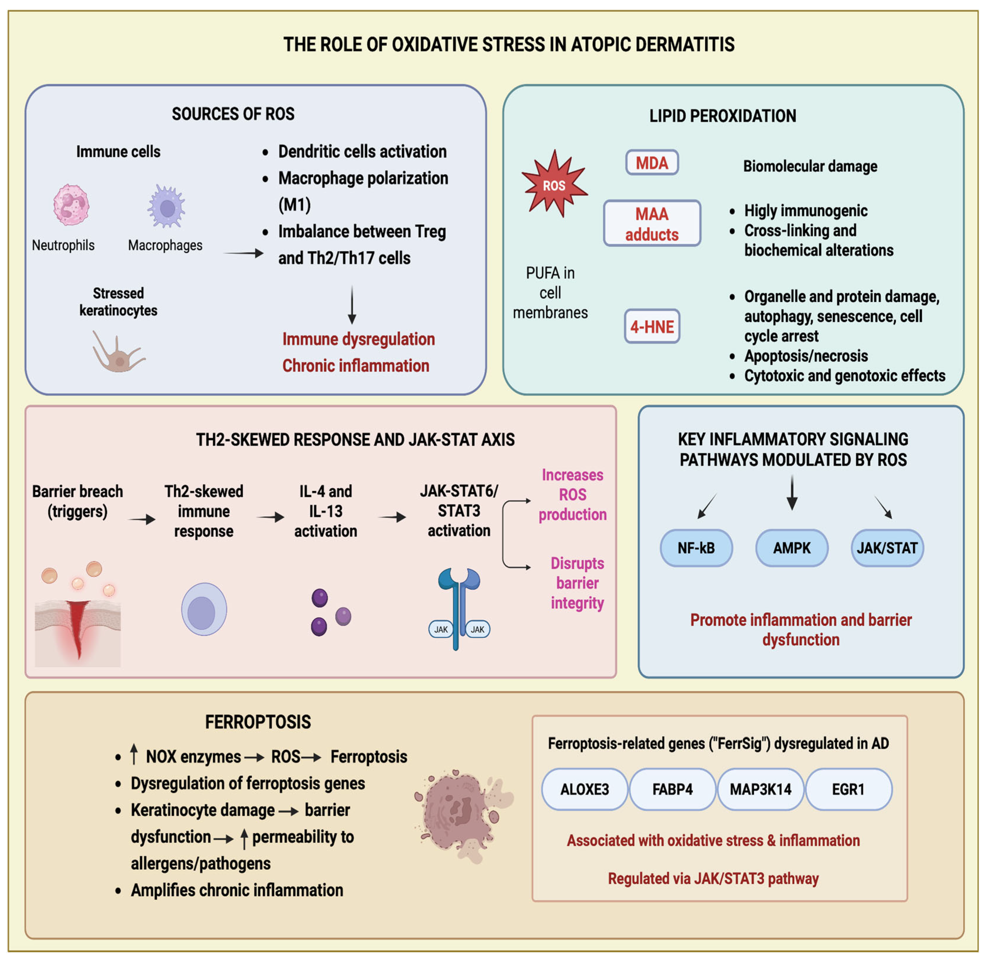 Beyond Inflammation: The Role of Oxidative Stress and Gut–Skin Axis ...
