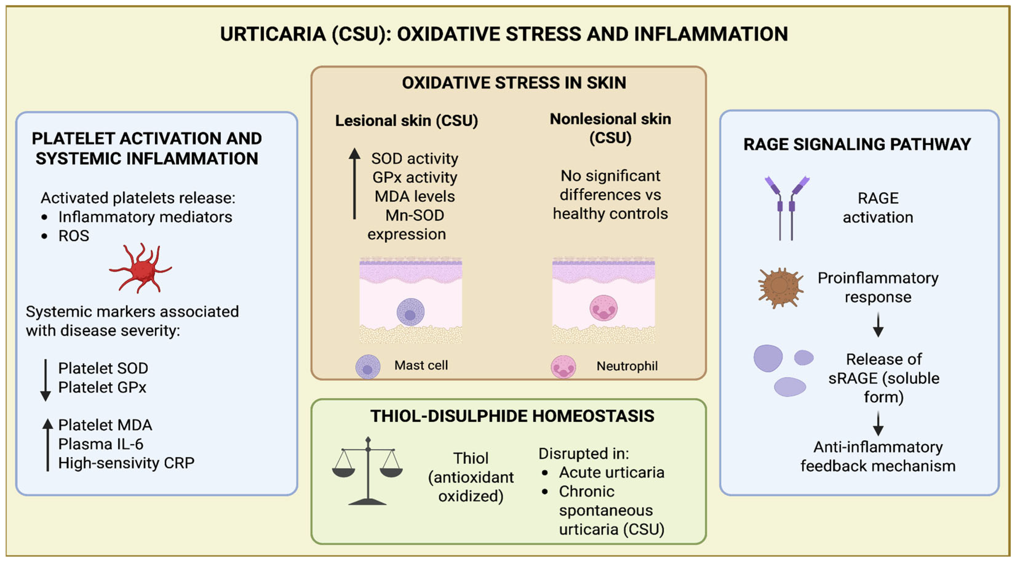 Beyond Inflammation: The Role of Oxidative Stress and Gut–Skin Axis ...