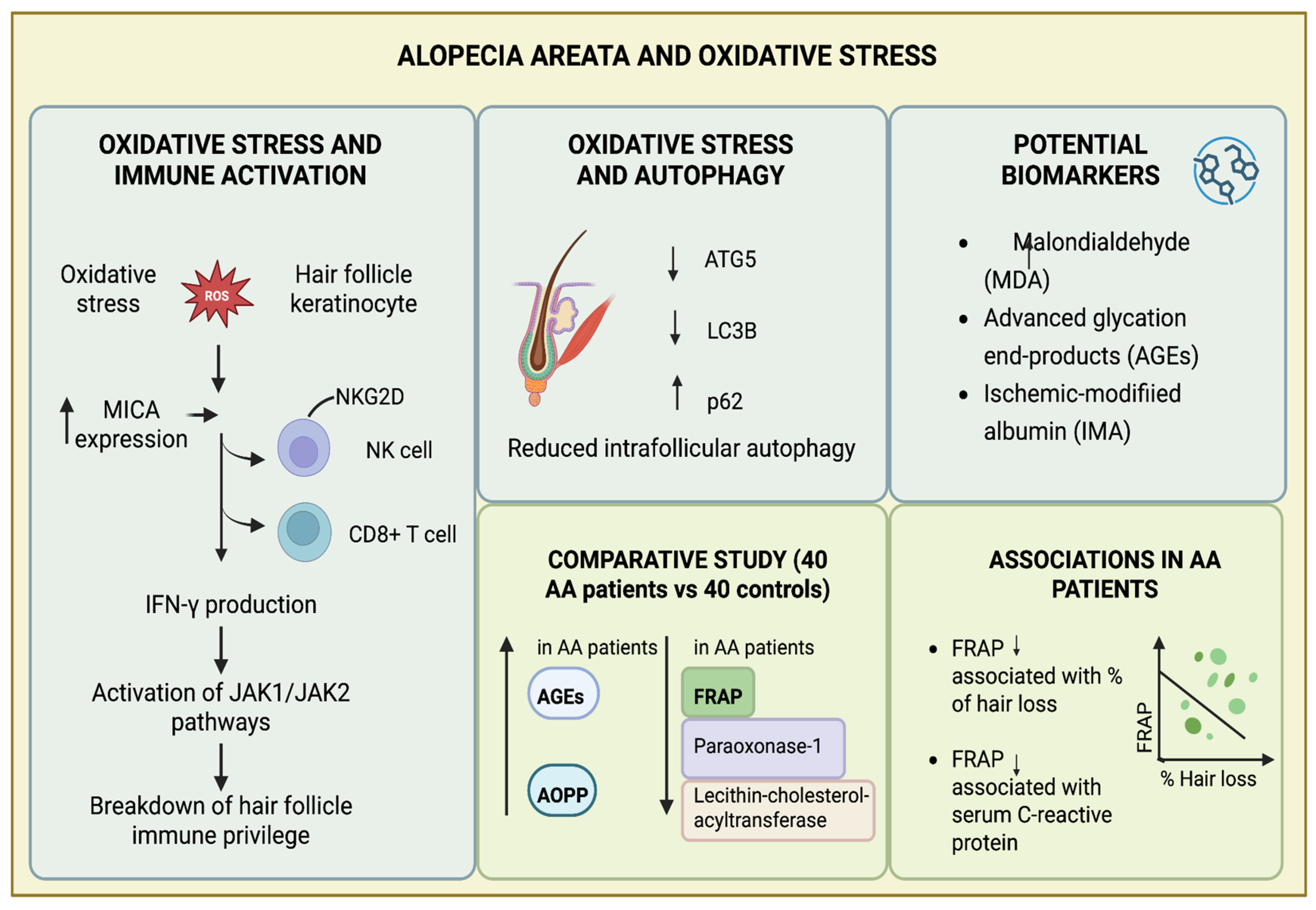 Beyond Inflammation: The Role of Oxidative Stress and Gut–Skin Axis ...