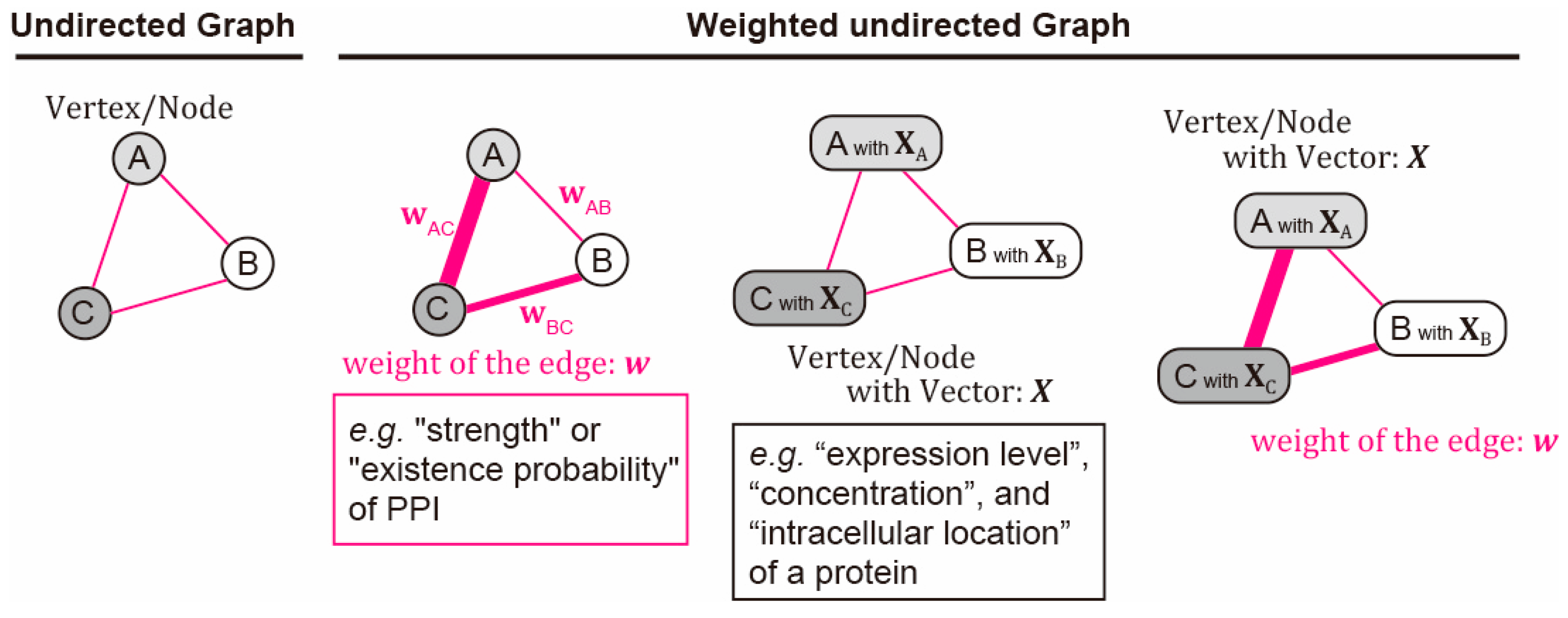 Graph and Hypergraph Theories Applied to Dynamic Protein–Protein ...
