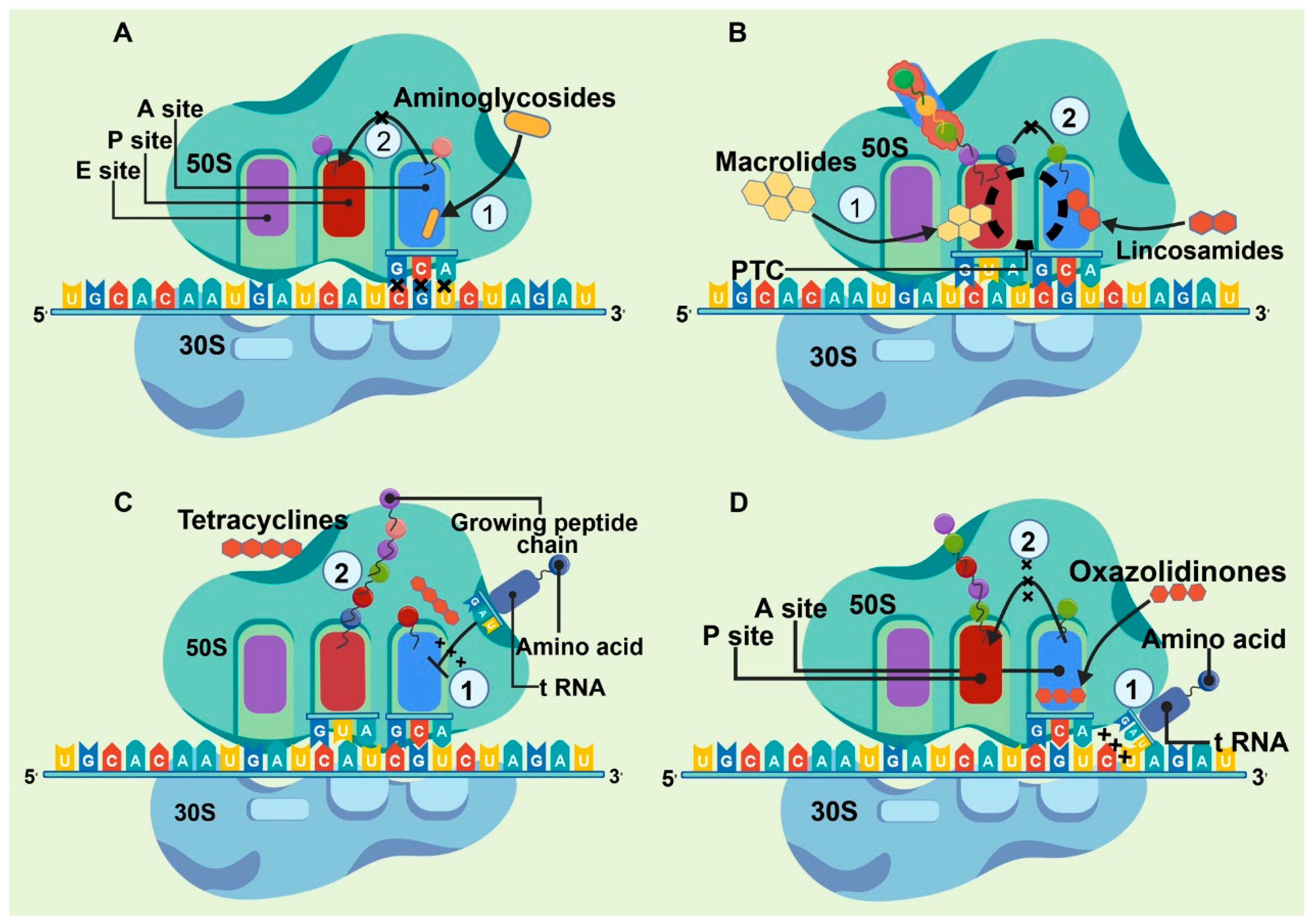 Medicinal Plants: A Promising Therapeutic Approach for Addressing ...