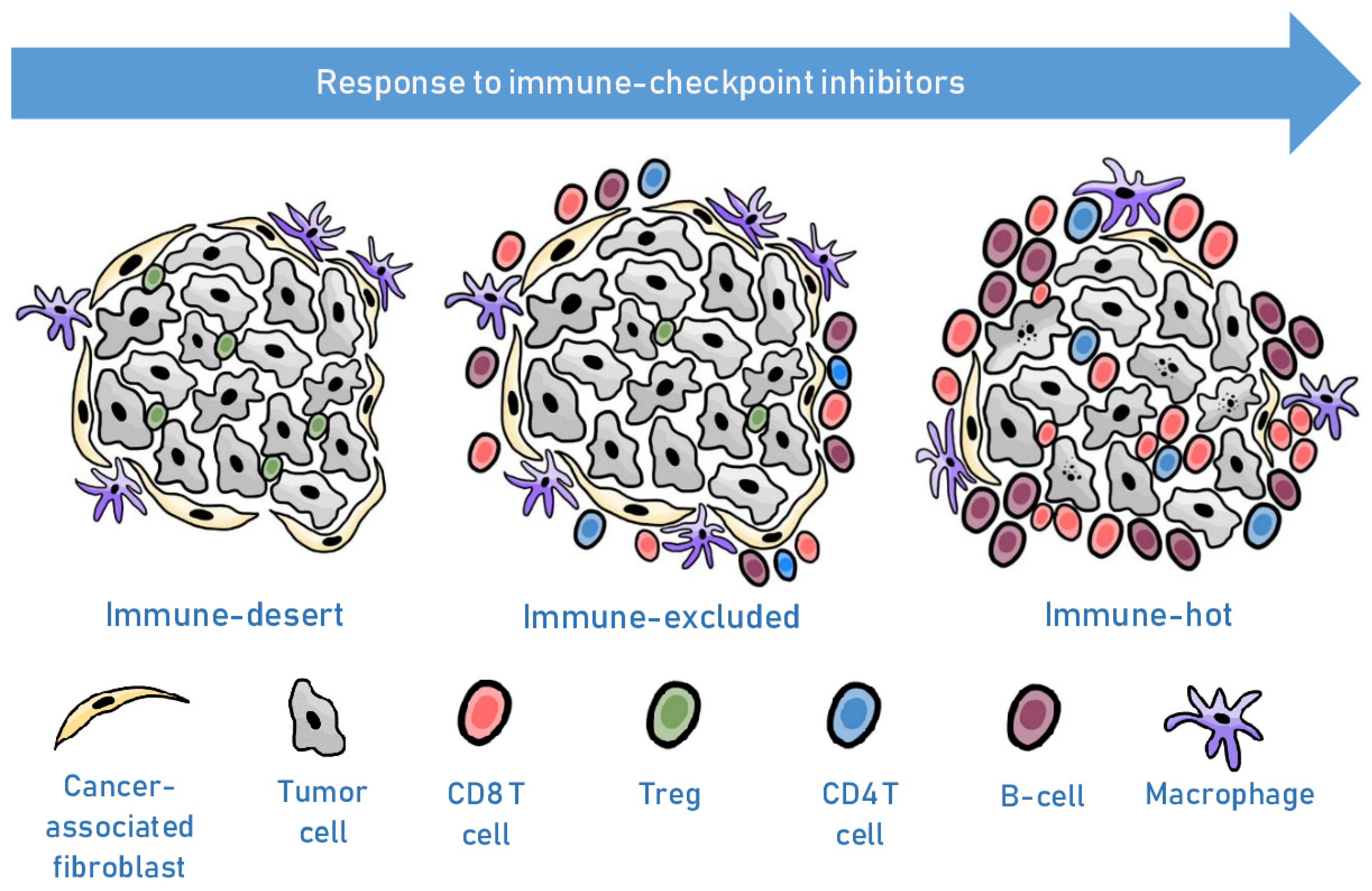Predicting Response to Immune Checkpoint Inhibitors in Melanoma ...