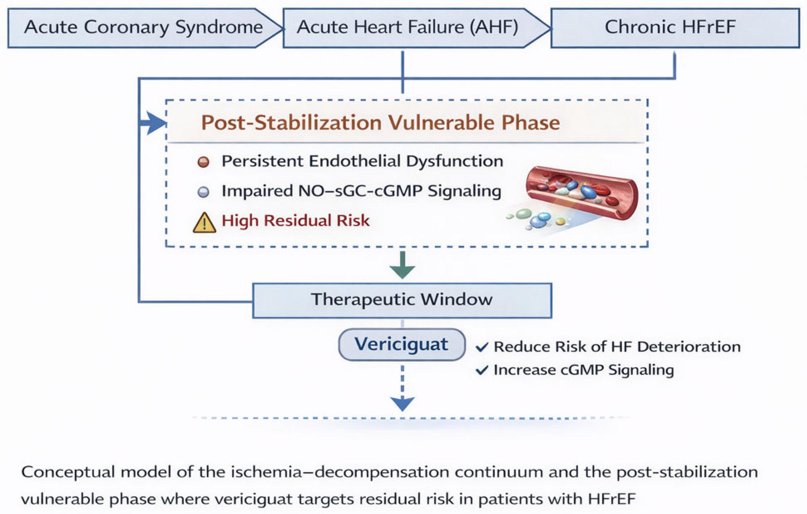 Vericiguat in the Post-Stabilization Phase of HFrEF: Targeting Residual ...