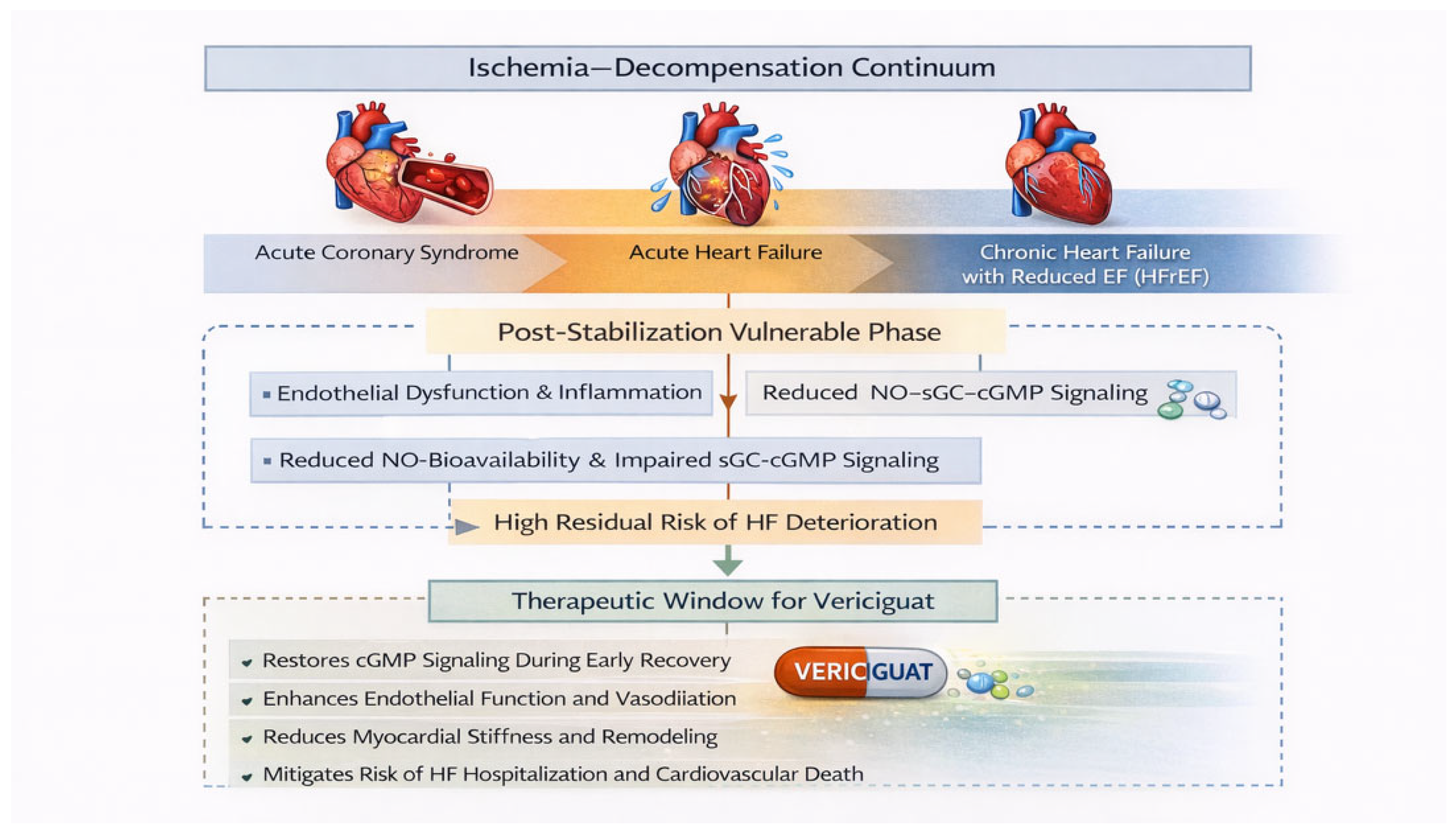 Vericiguat in the Post-Stabilization Phase of HFrEF: Targeting Residual ...
