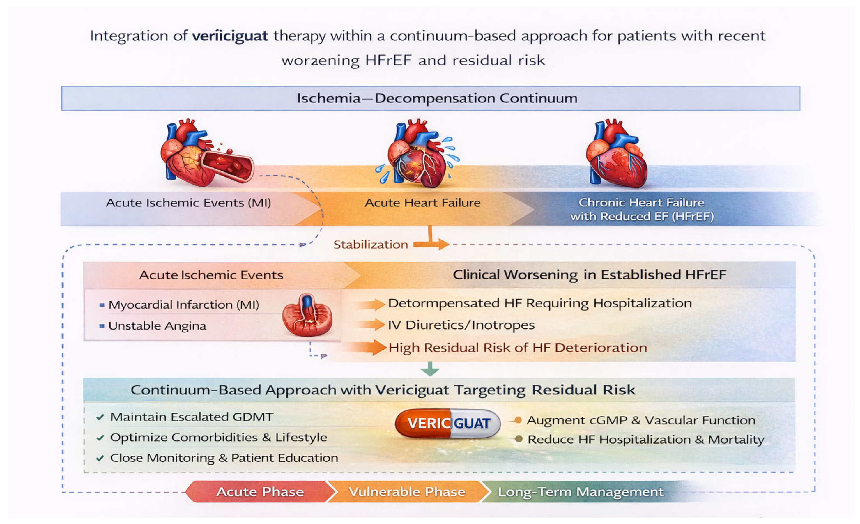 Vericiguat in the Post-Stabilization Phase of HFrEF: Targeting Residual ...