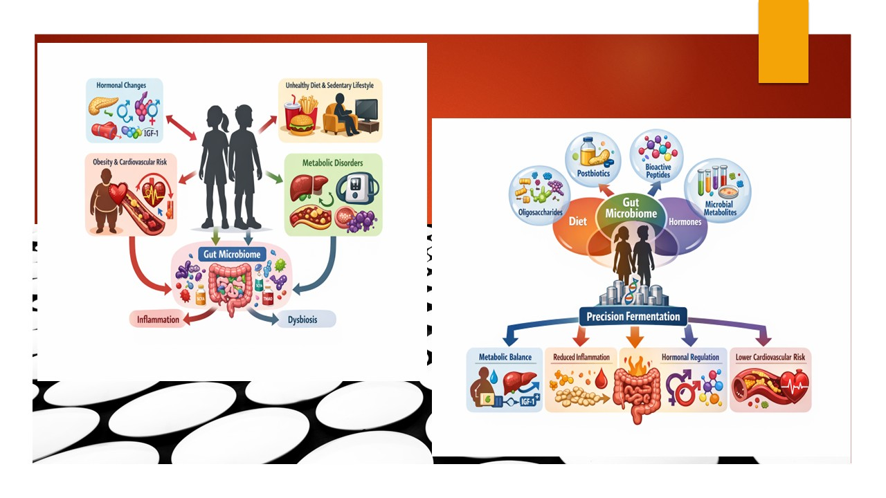 Gut Microbiome–Hormone Interactions and Precision Fermentation in the ...