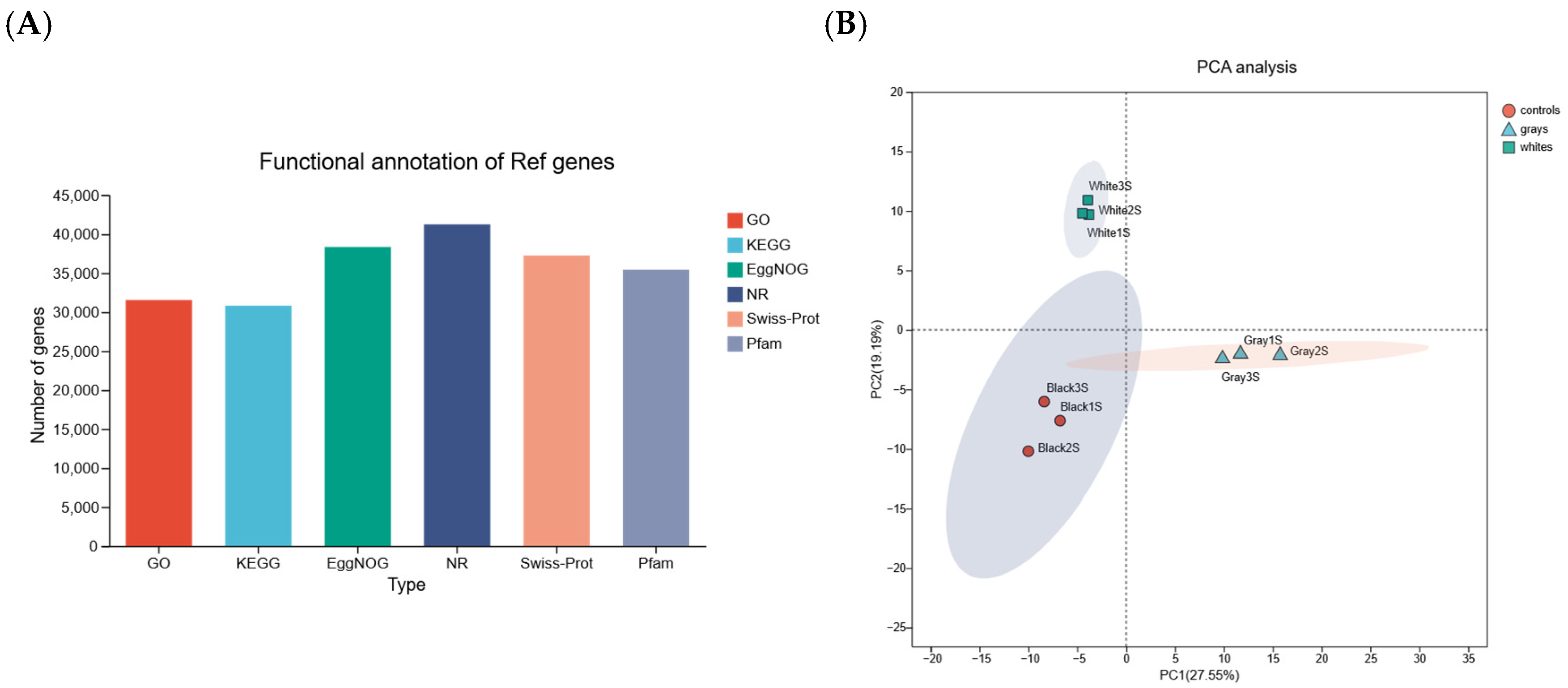 Melanin Deficiency Is Associated with Immune Homeostasis in the ...