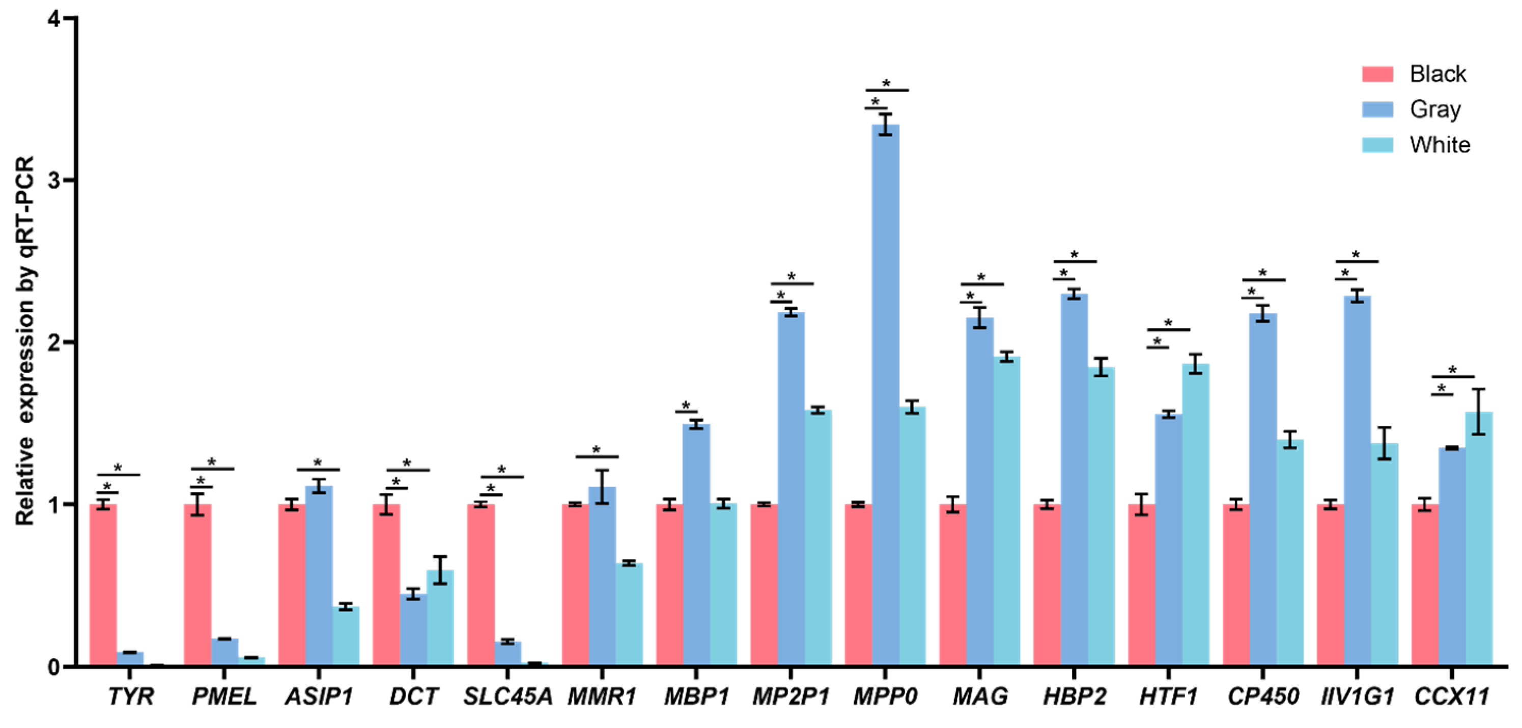Melanin Deficiency Is Associated with Immune Homeostasis in the ...