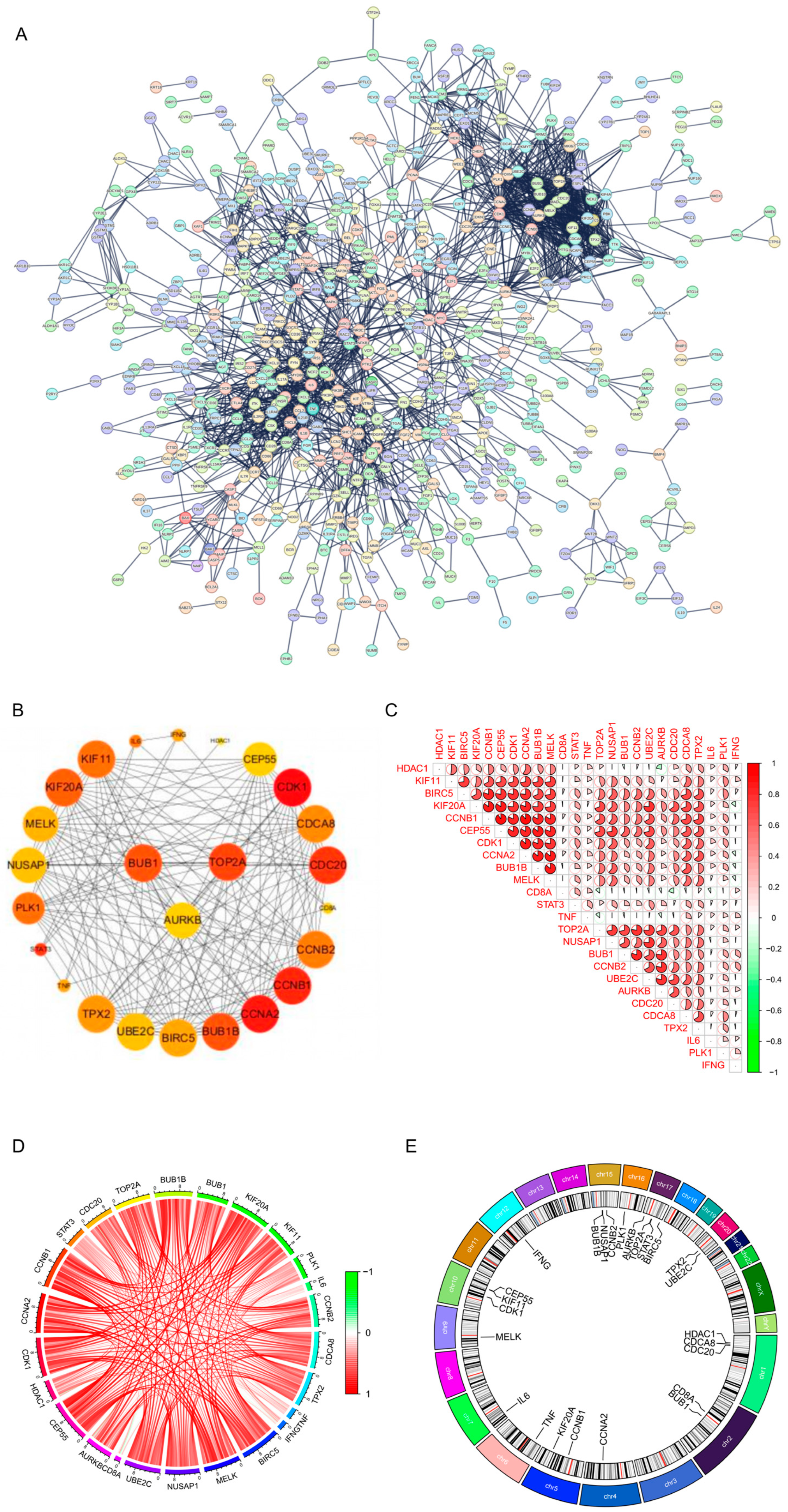 An Exploratory Transcriptomic Classification Model for Psoriasis Based ...