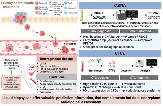 The Predictive Role of ctDNA and CTCs in Patients with Advanced Non ...