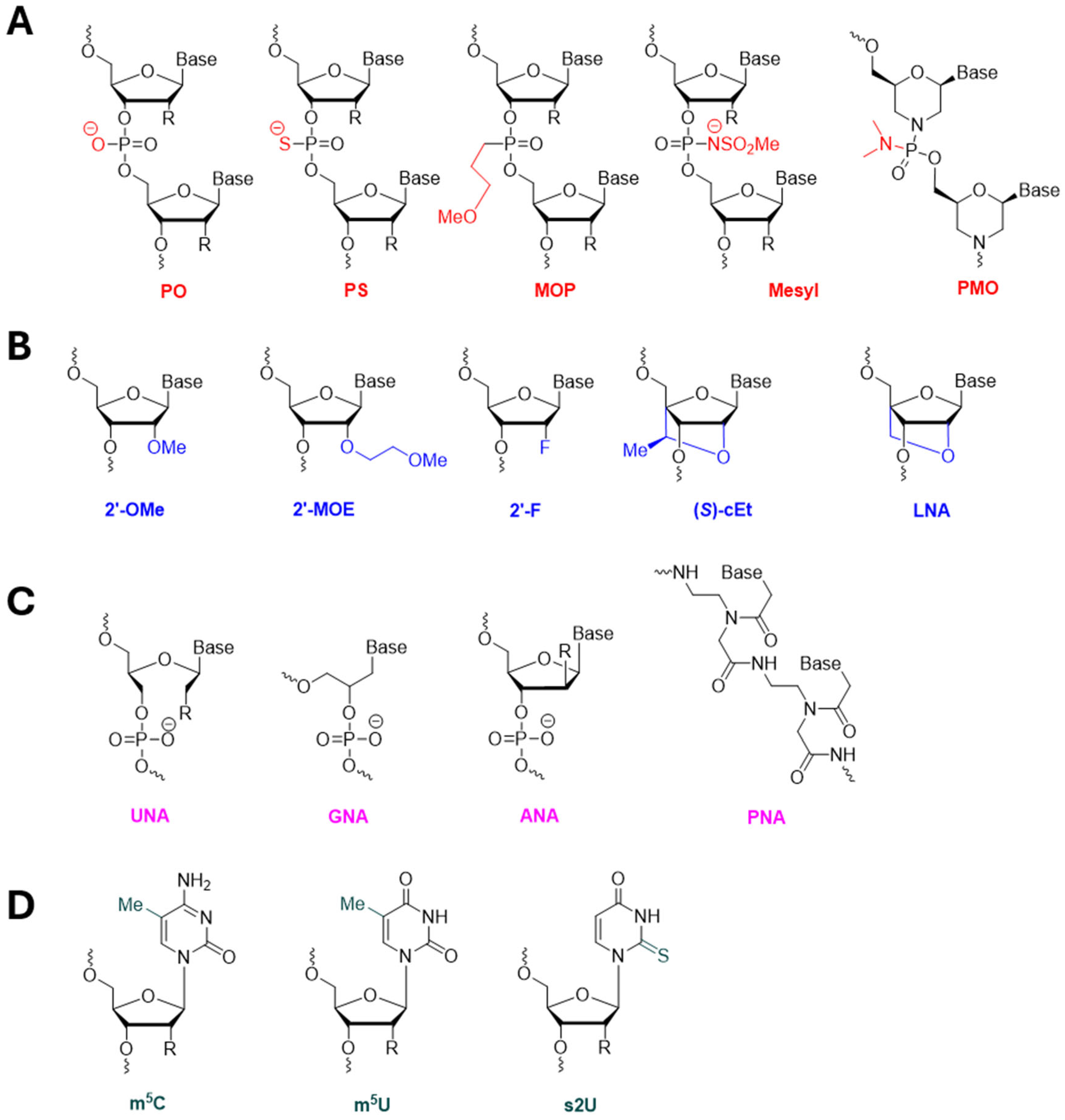The Versatile Applications of Antisense Oligonucleotides in Modern Medicine