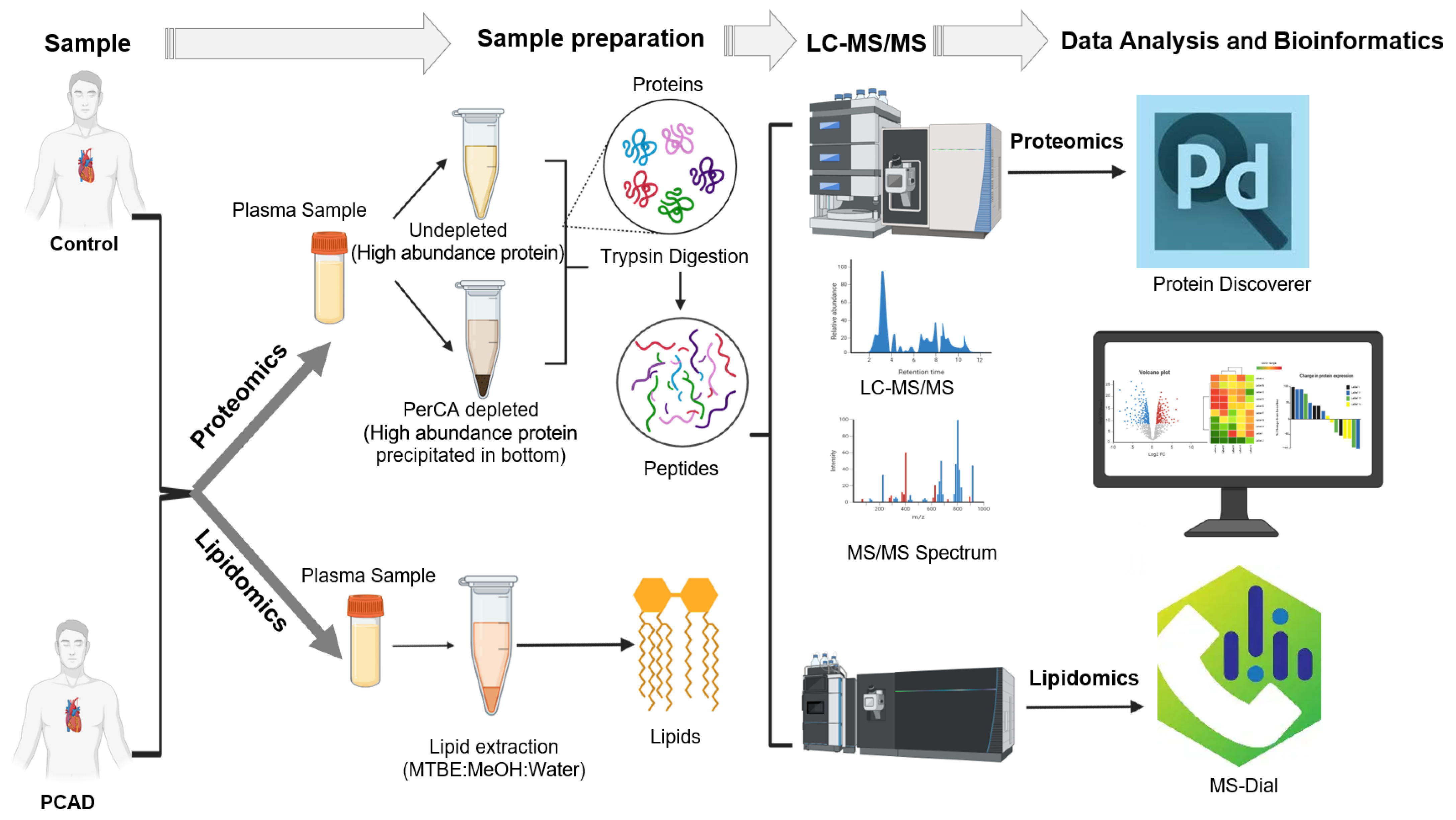 Exploratory LC-MS/MS-Based Proteomic and Lipidomic Profiling of Plasma ...
