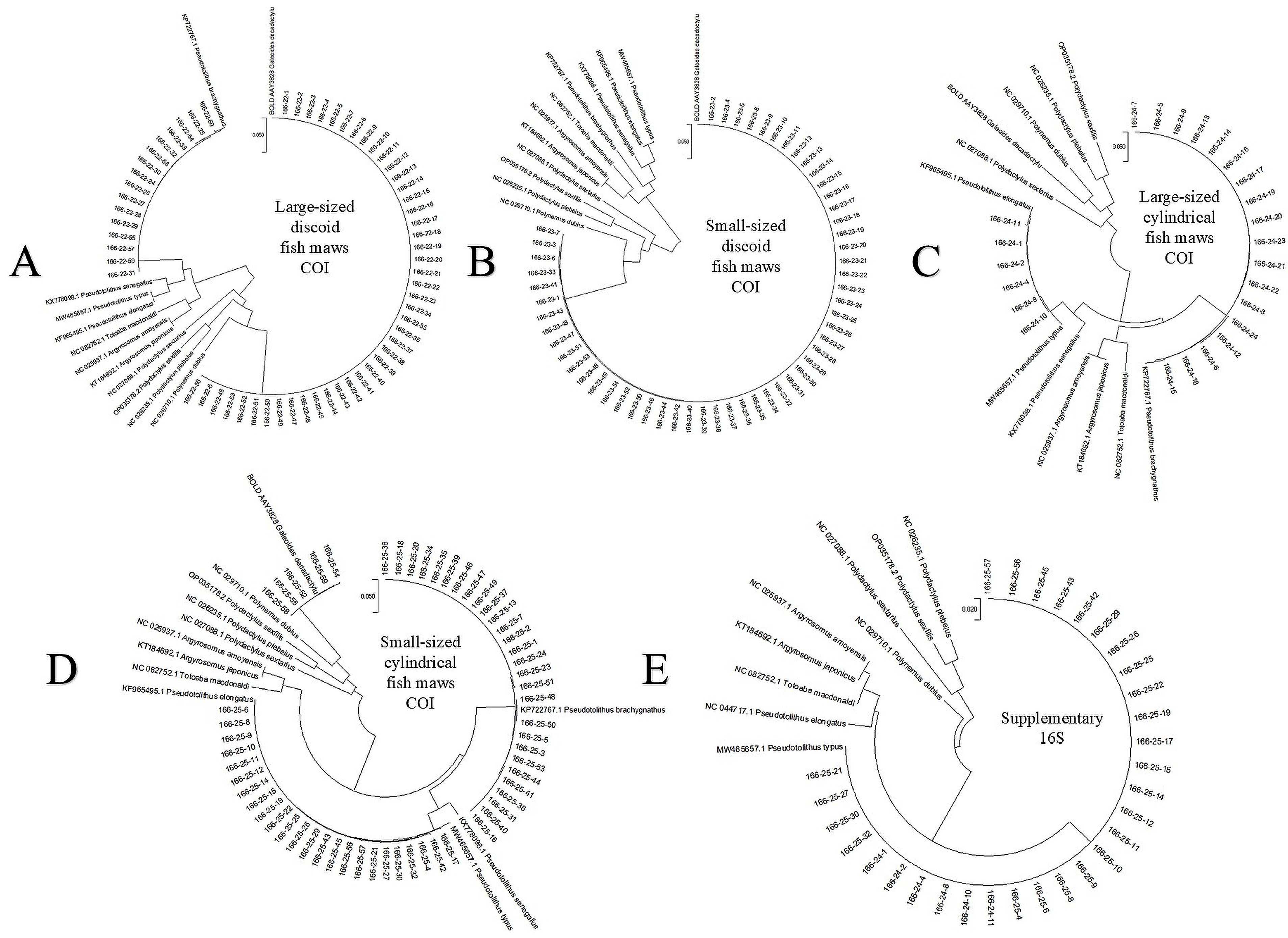 Fish System Forensics Forensic Species Identification: A Case Involving Trafficked Fish Maws ...