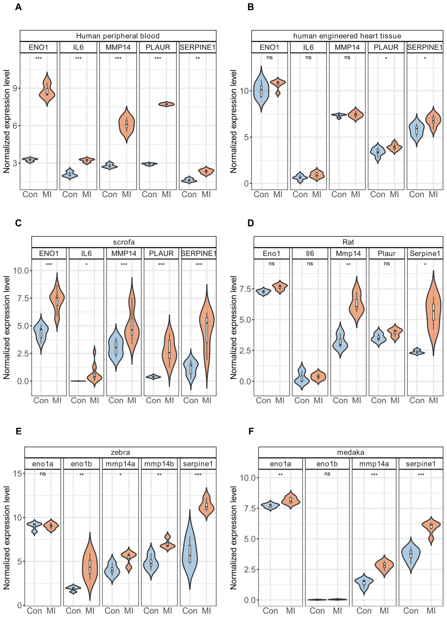 Cross-Species Identification and Validation of Hub Genes and Potential ...