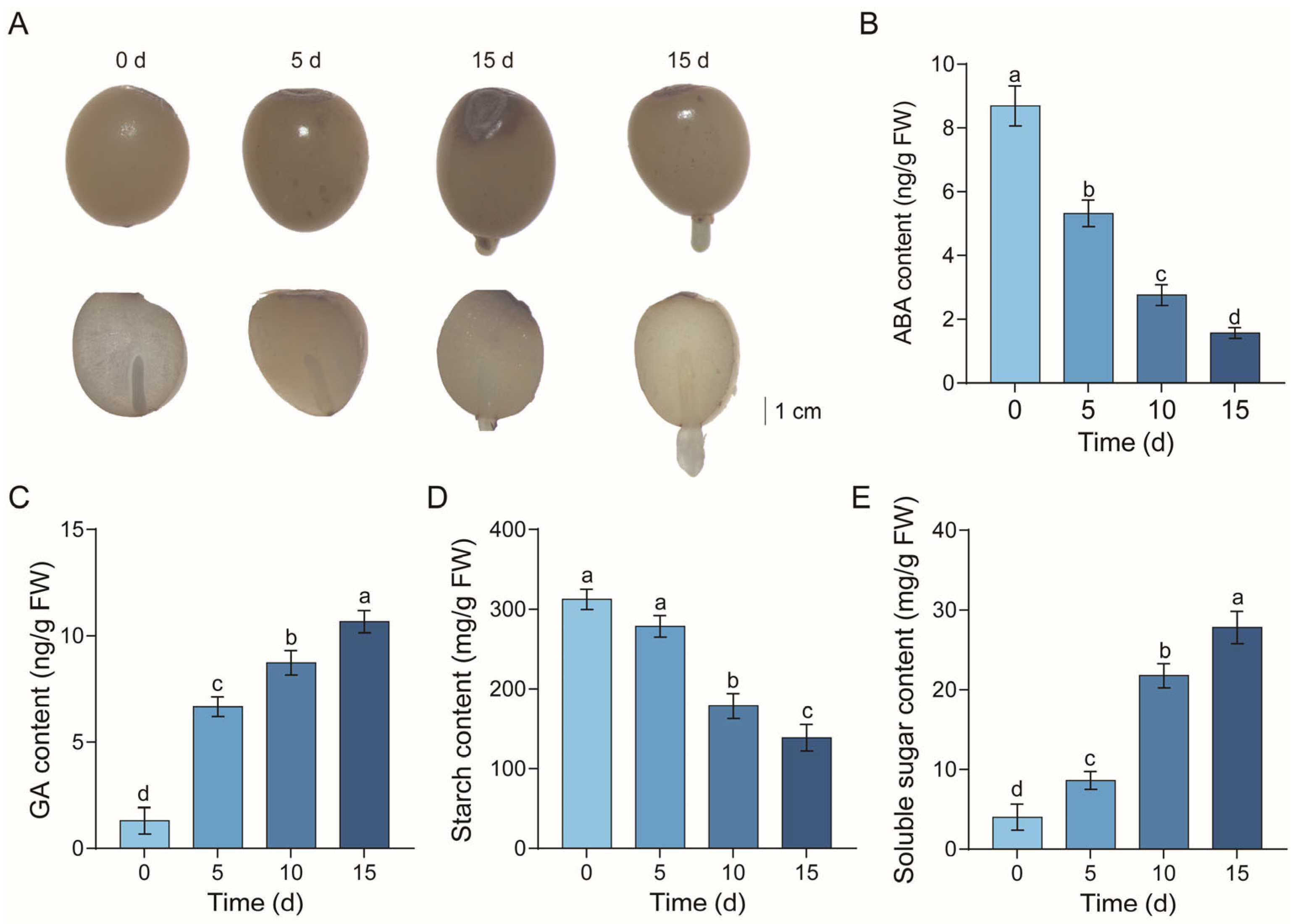 Metabolo-Transcriptomic Analysis Reveals the Mechanisms Underlying Seed ...