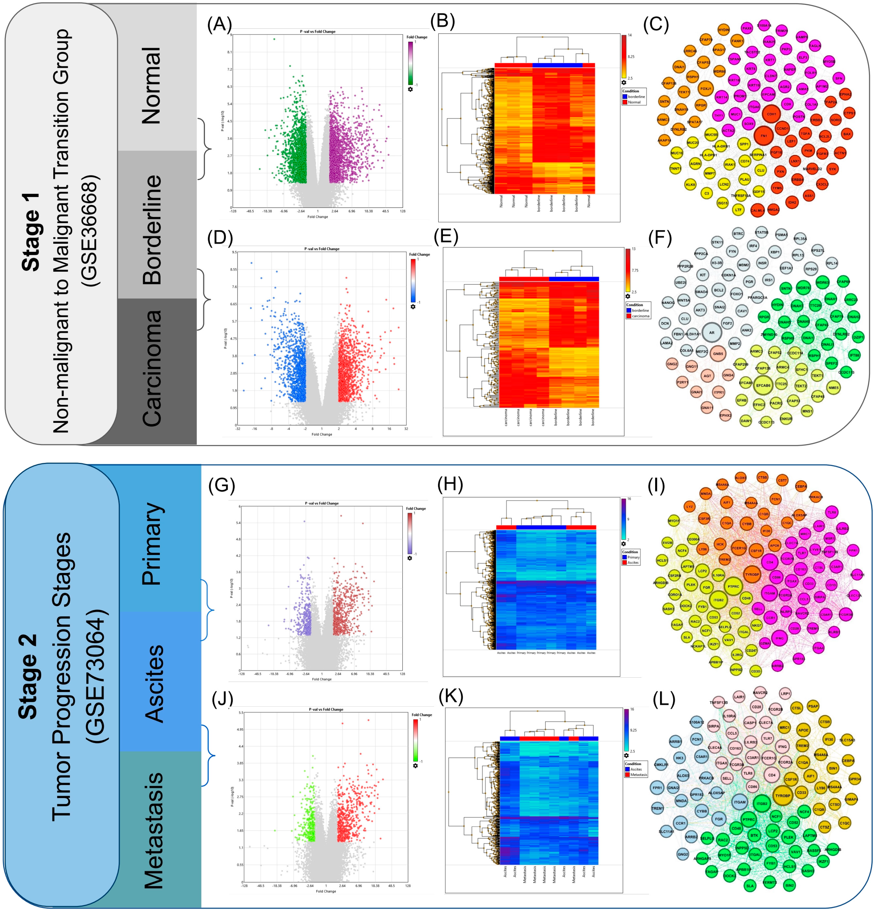 Stage-Specific Rewiring of PI3K–AKT Signaling During Serous Ovarian ...