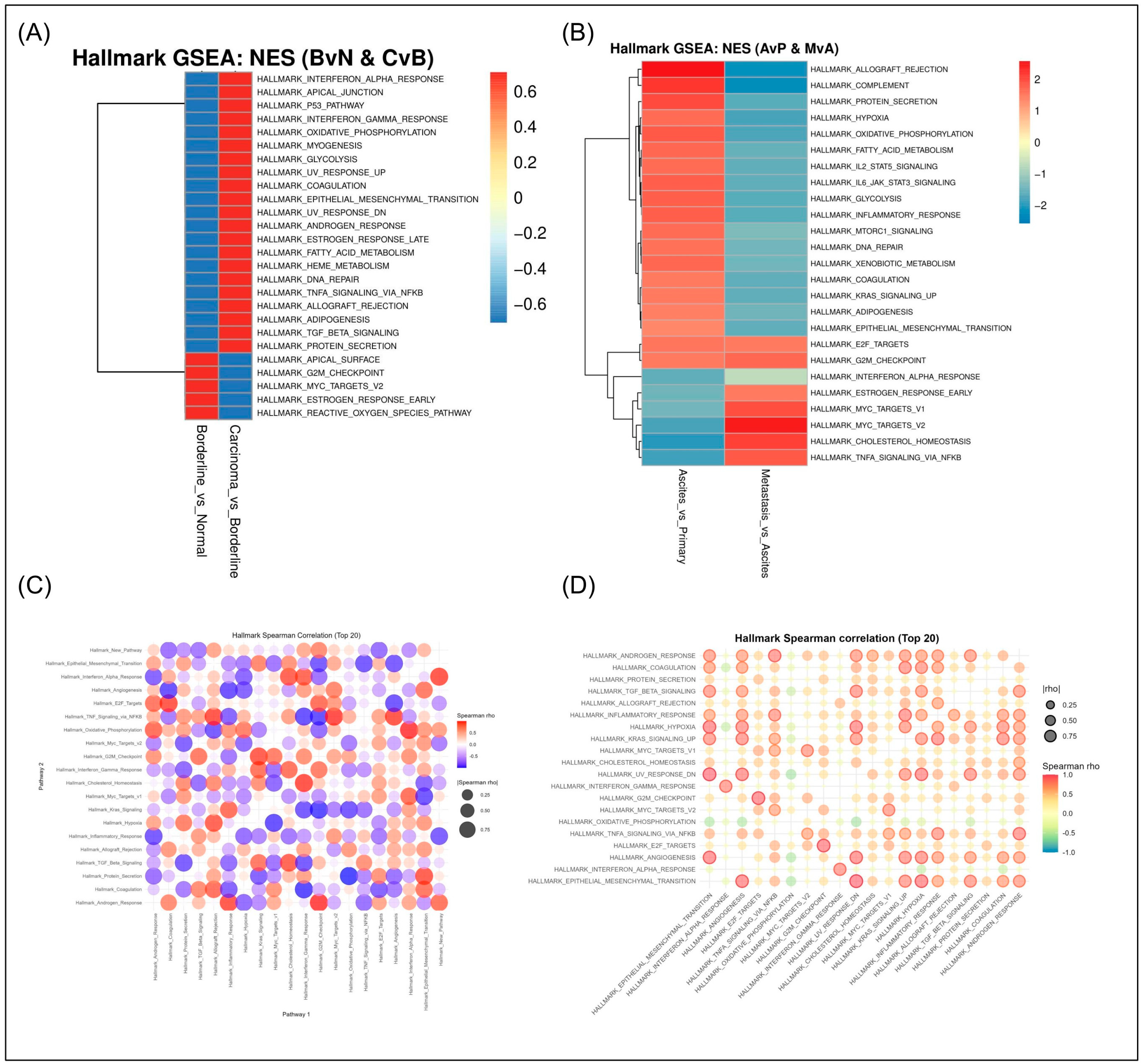 Stage-Specific Rewiring of PI3K–AKT Signaling During Serous Ovarian ...