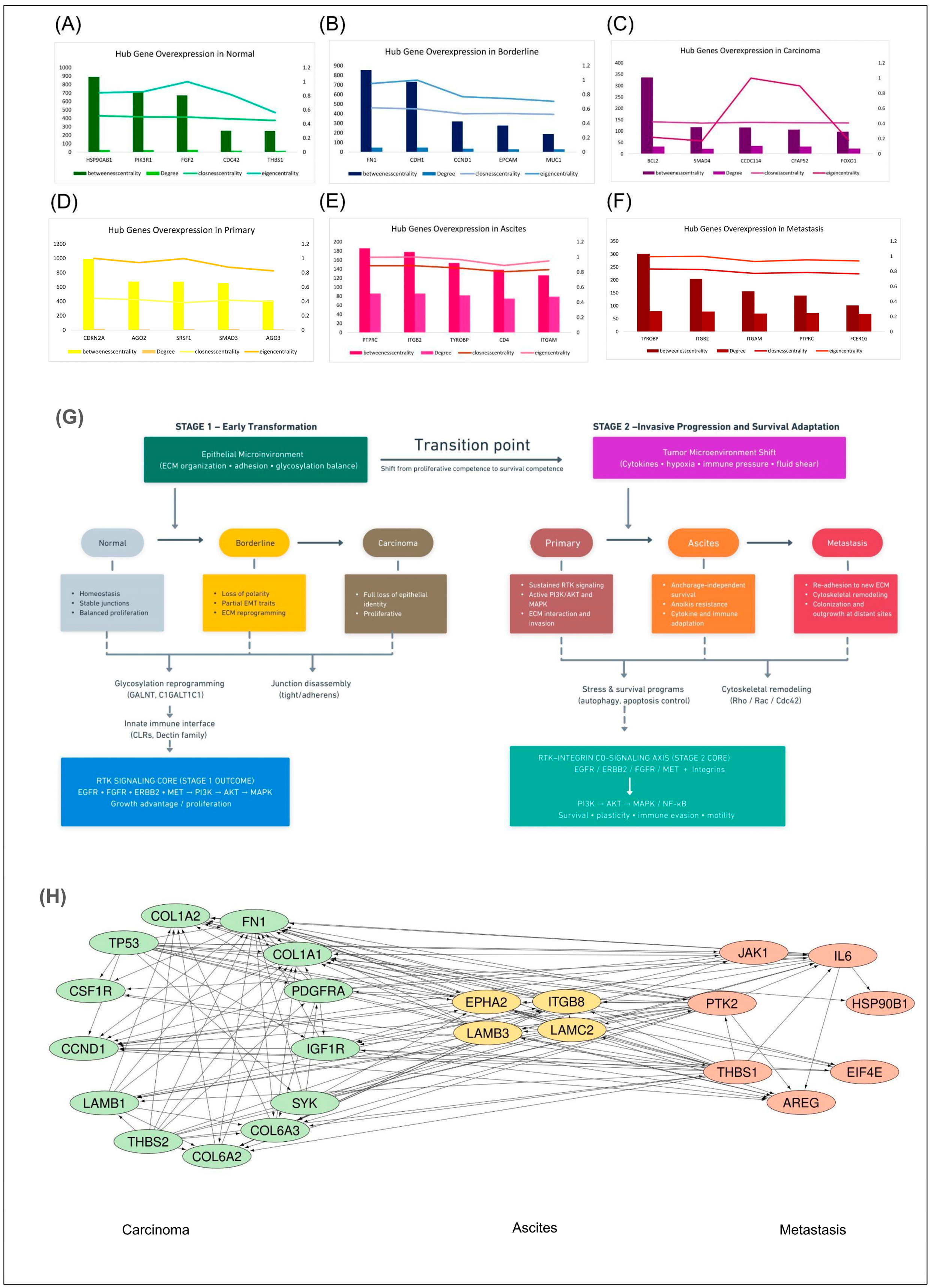 Stage-Specific Rewiring of PI3K–AKT Signaling During Serous Ovarian ...