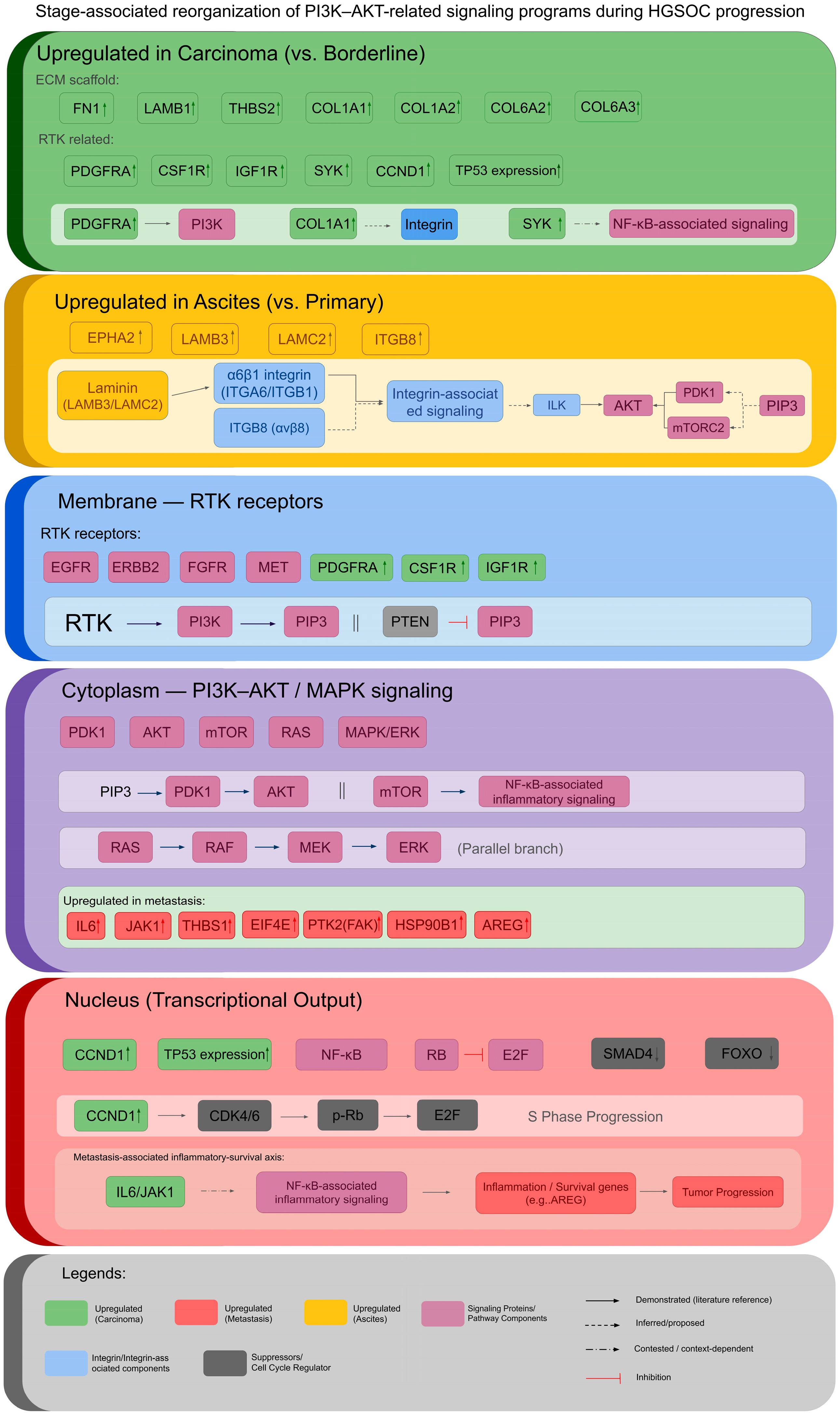 Stage-Specific Rewiring of PI3K–AKT Signaling During Serous Ovarian ...