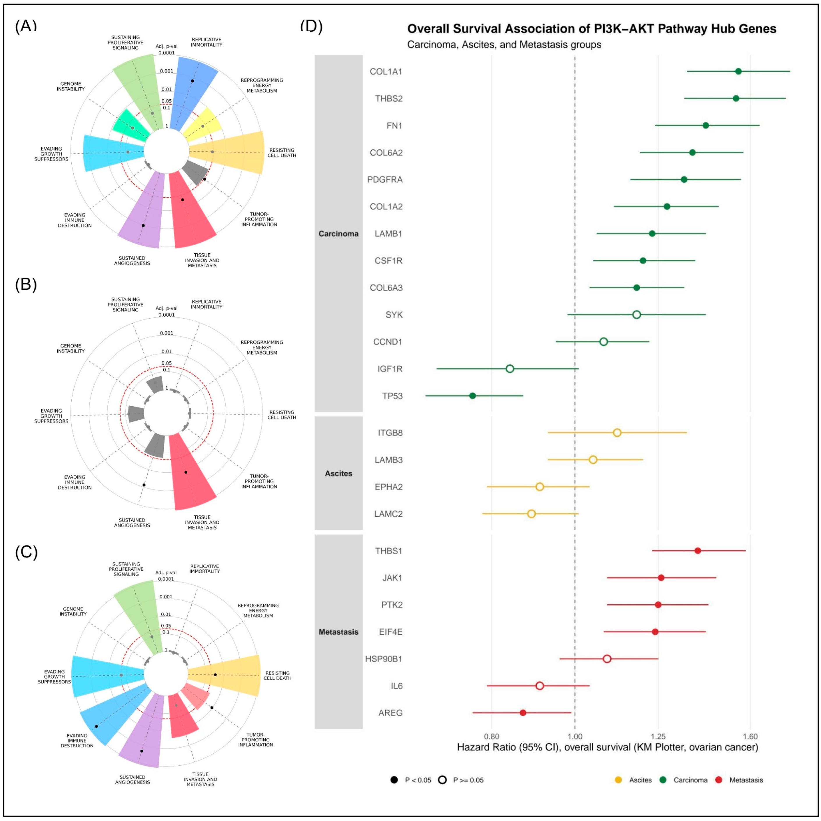 Stage-Specific Rewiring of PI3K–AKT Signaling During Serous Ovarian ...