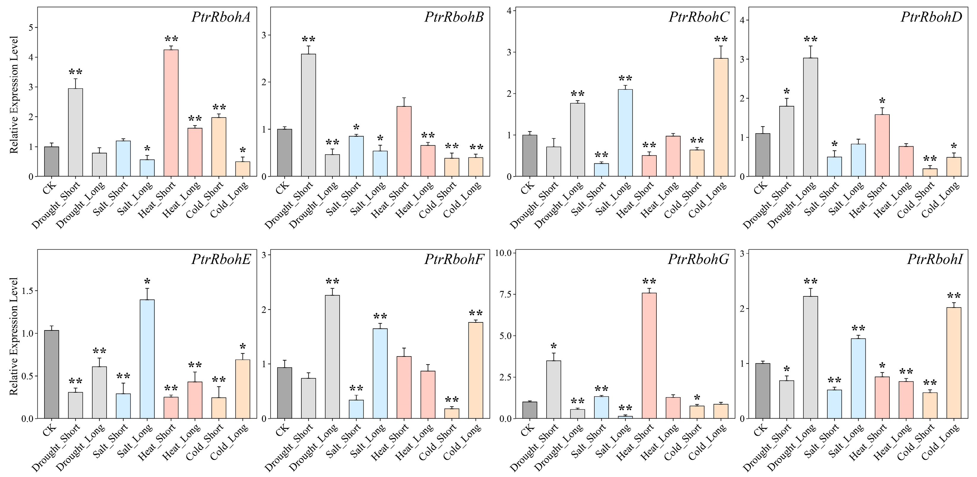 Genome-Wide Identification and Characterization of the Rboh Gene Family ...