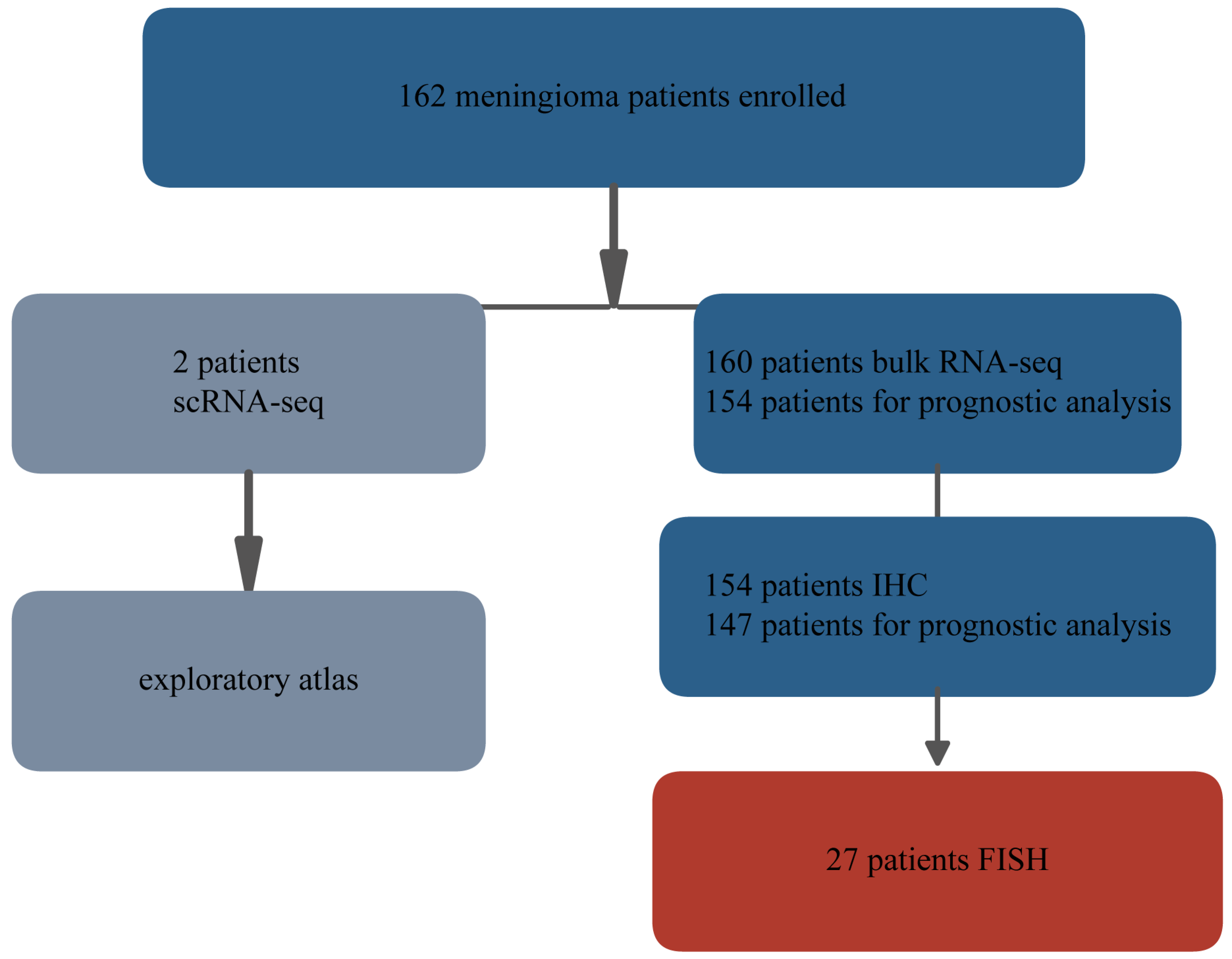 Landscape Architecture Notes.pdf TOP2A Overexpression as a Prognostic Biomarker in High-Grade Meningioma ...