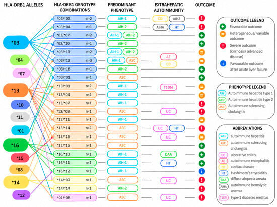 Distinct Clinical Patterns Associated with HLA-DRB1 Genotypes in ...