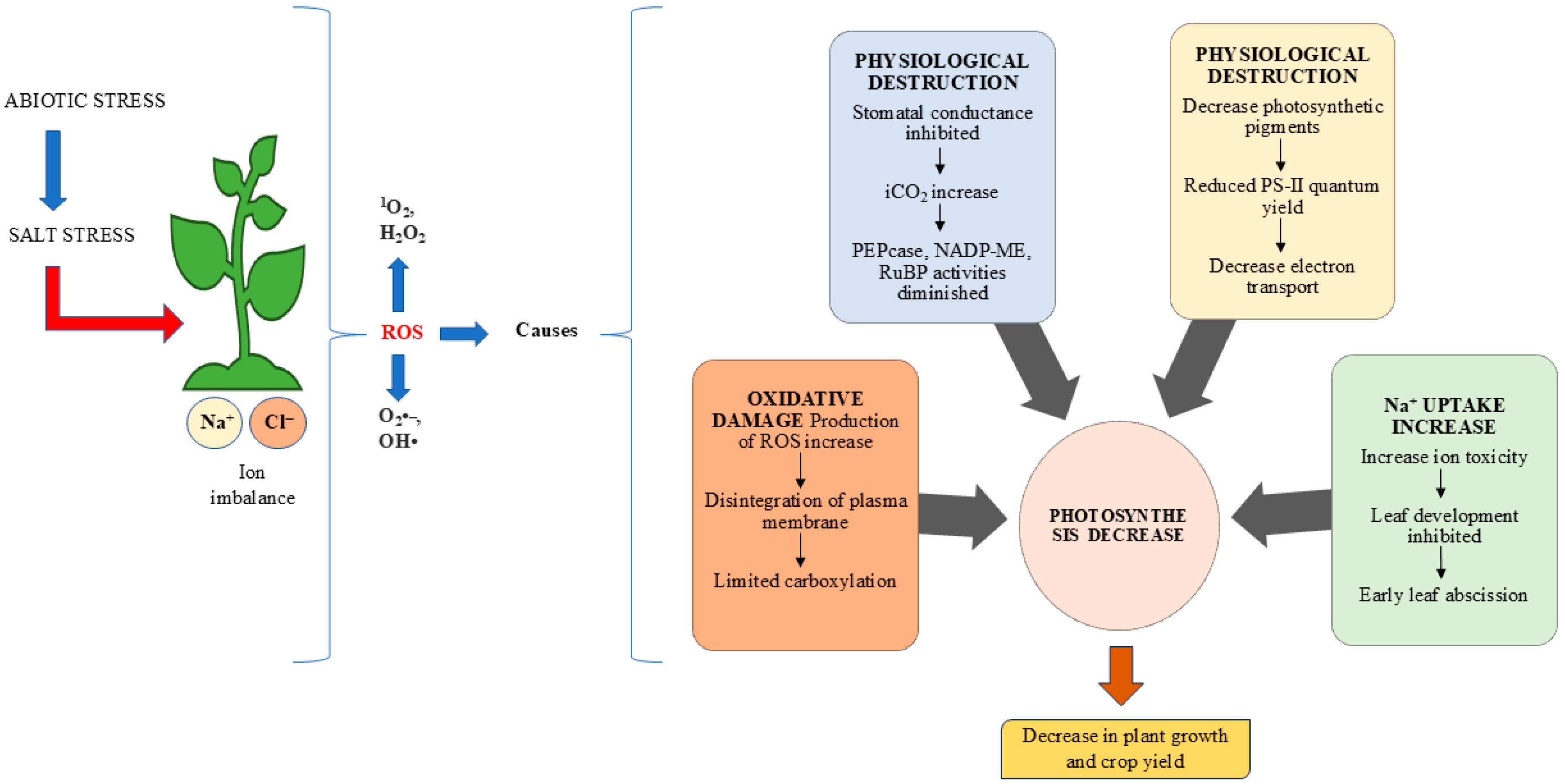 Possible Interaction of Hydrogen Sulfide and Glutathione and Role in ...