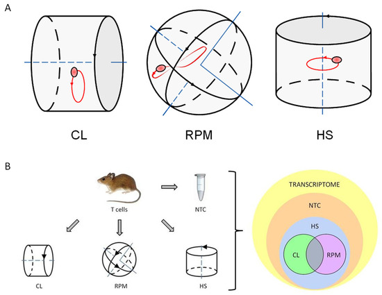 IJTM | Free Full-Text | Cell Responses to Simulated Microgravity and  Hydrodynamic Stress Can Be Distinguished by Comparative Transcriptomics