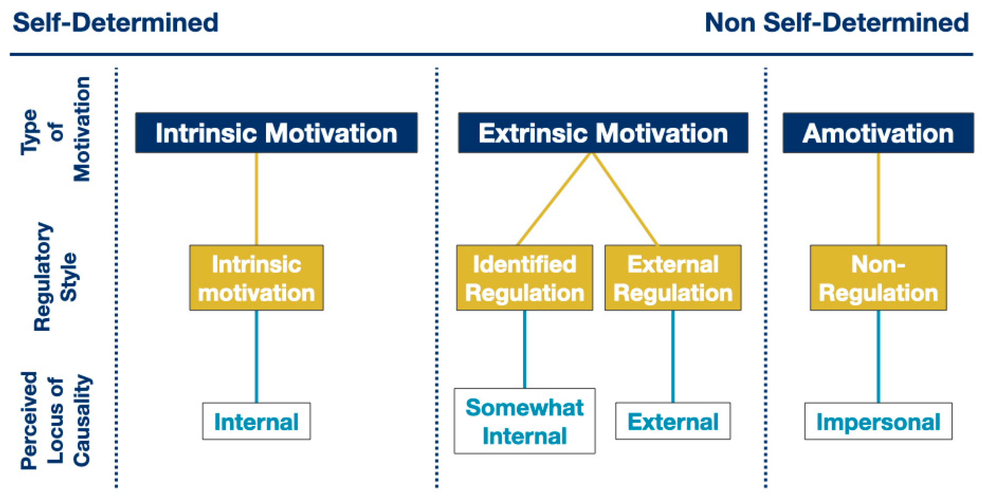 Validity Evidence for Using the Situational Motivation Scale to Assess ...